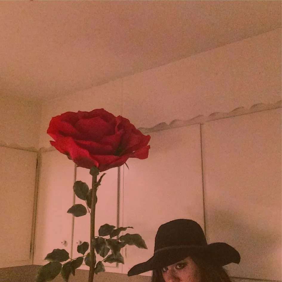  Website  |  Facebook  |  Instagram  |  Tiktok  
