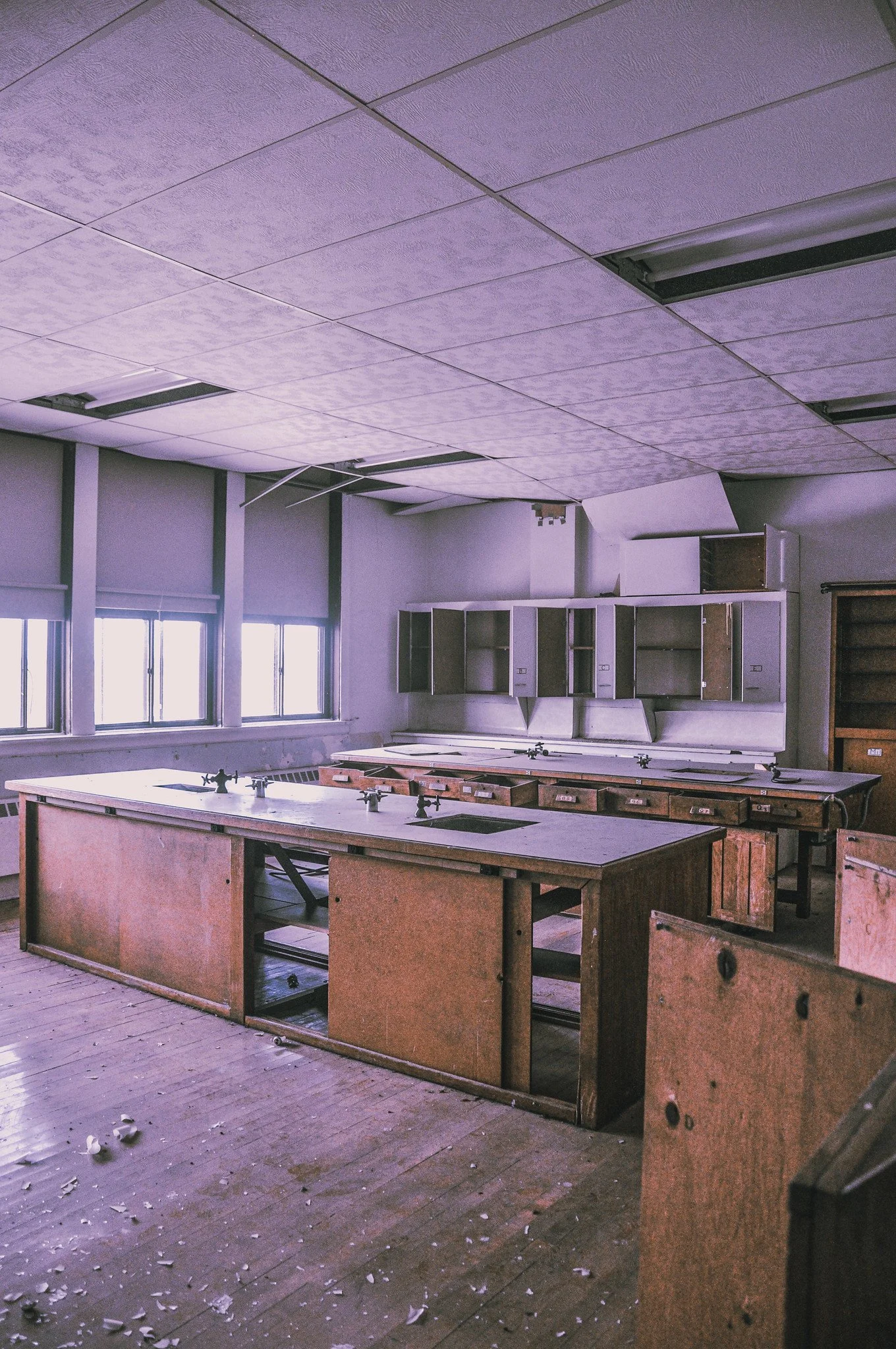 55464790524_64538fa9cf_k.jpg