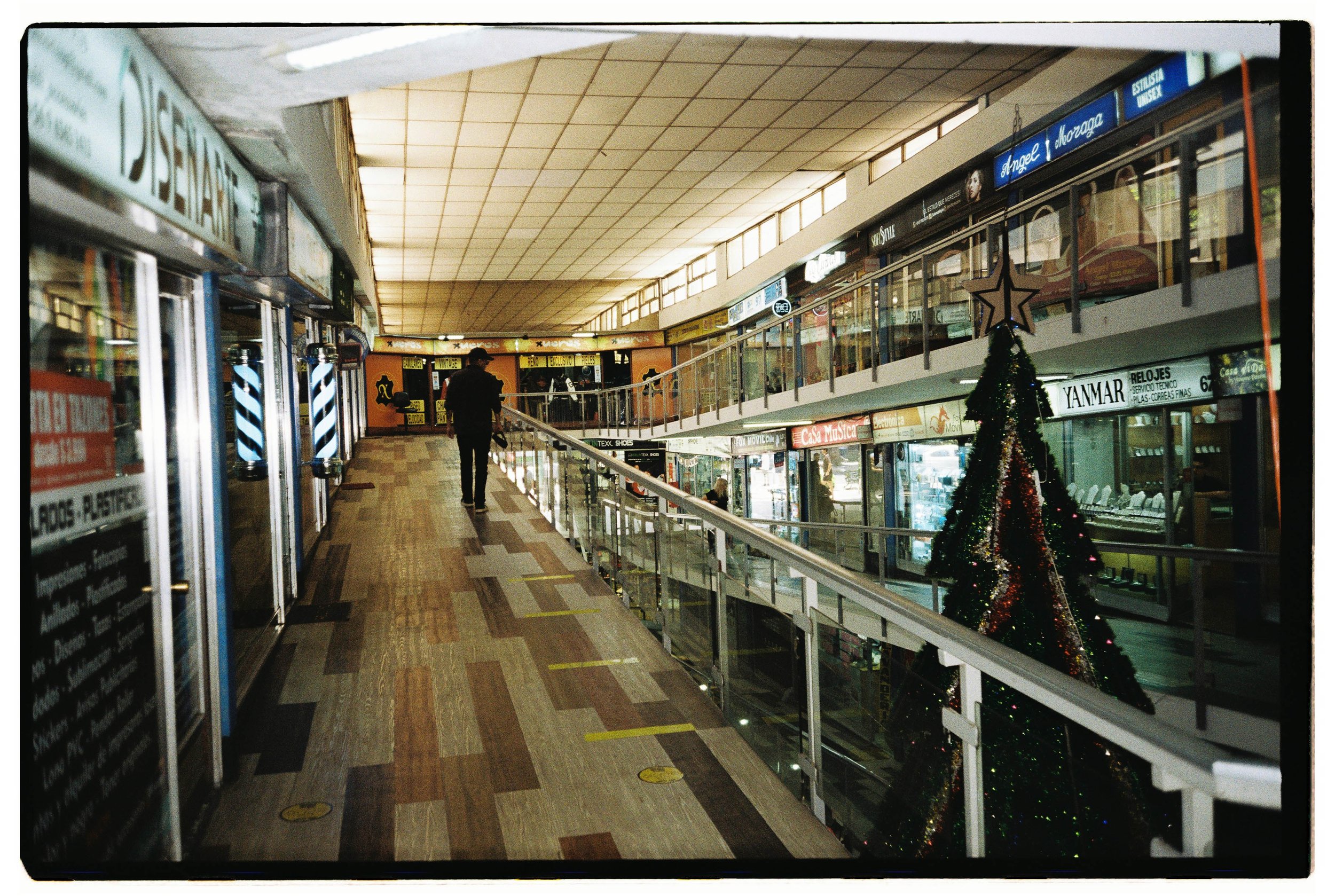 Matias_Alvial_January_2025_7.jpg