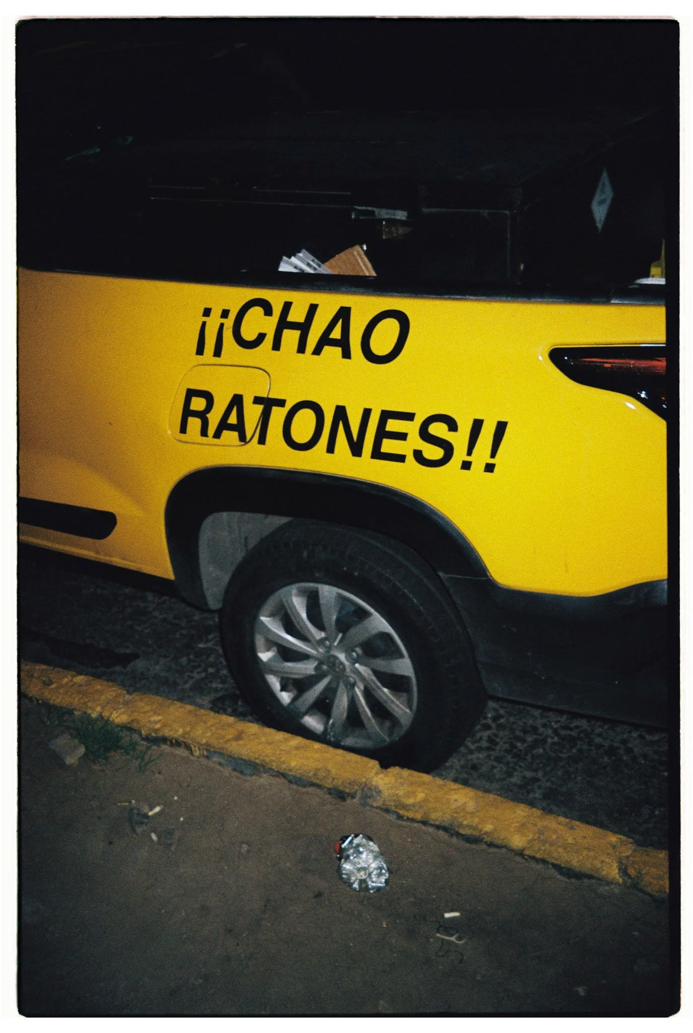 Matias_Alvial_February_2026_412.jpg