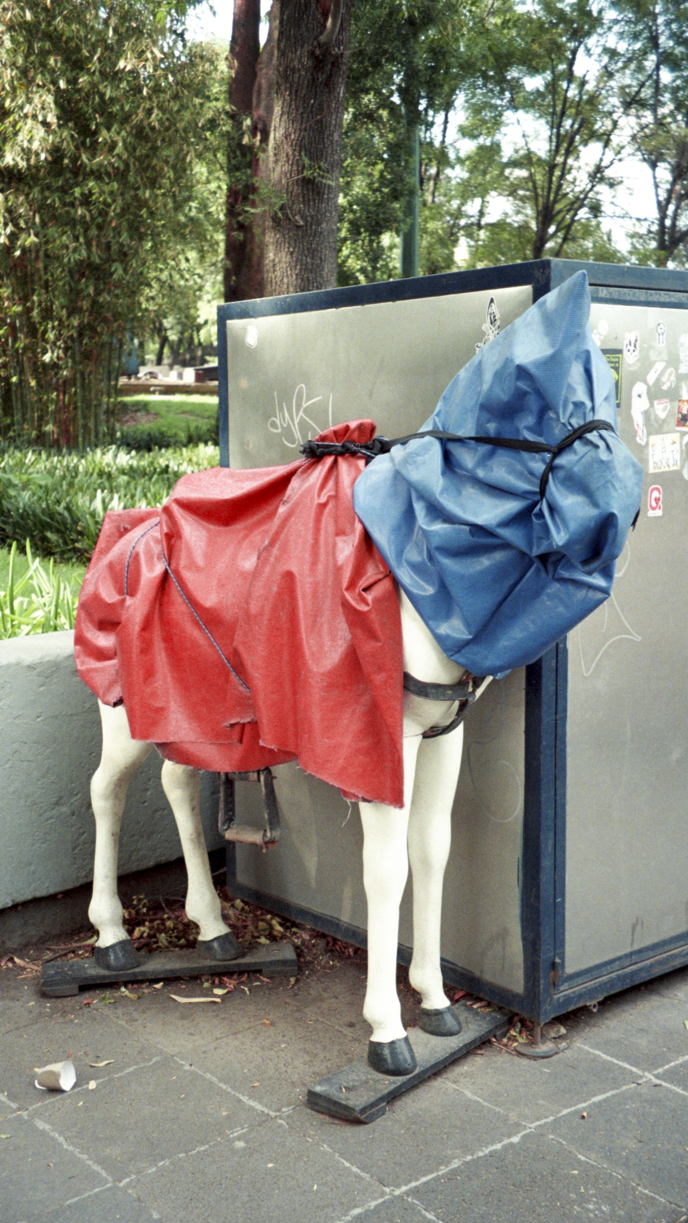 Whose Horse Is That? (Chapultepec, D.F., México, 2022), 2023