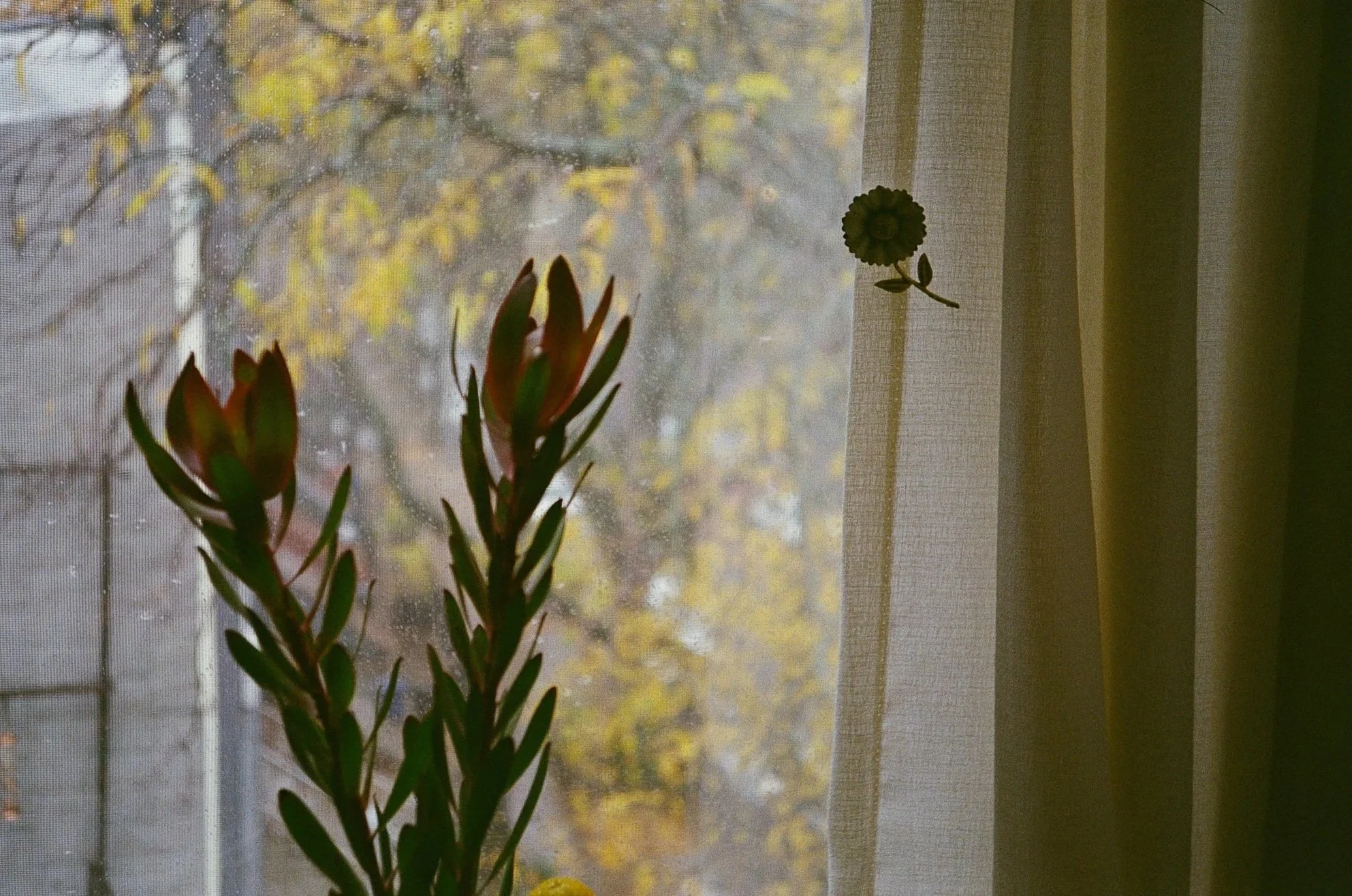 Matias_Alvial_November_2025_56.jpg