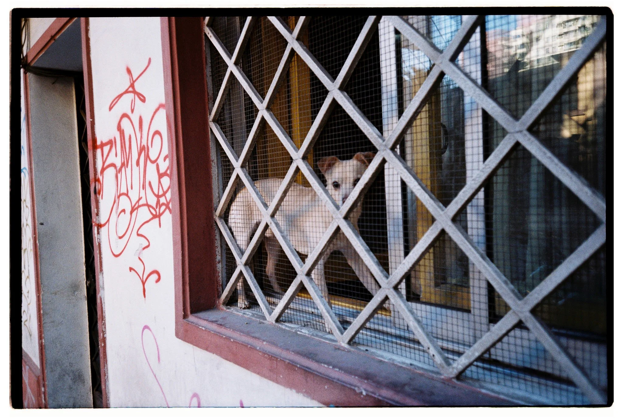 Matias_Alvial_February_2026_289.jpg