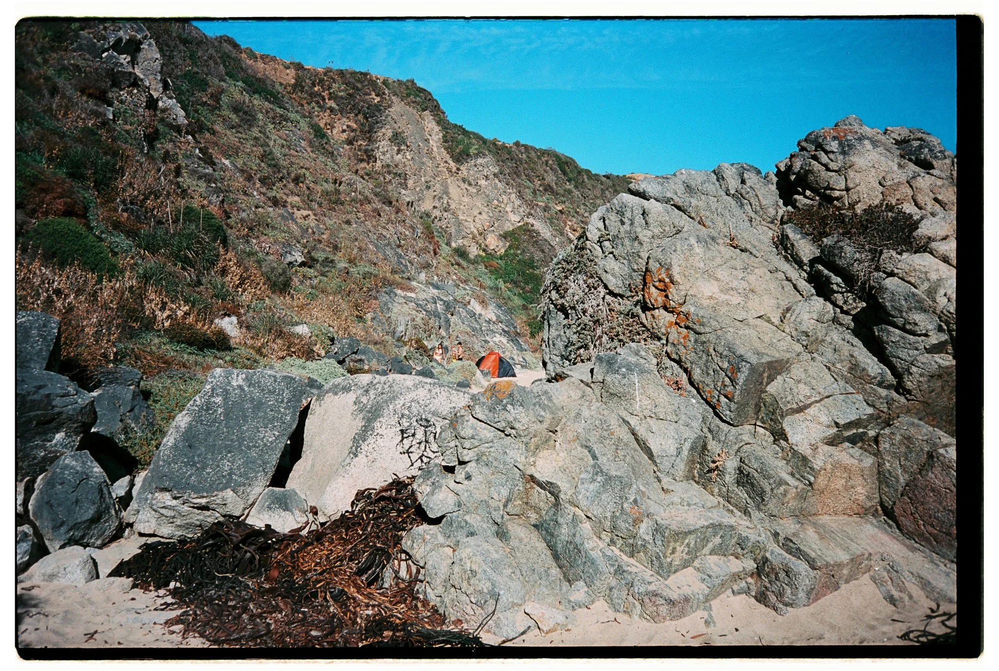 Matias_Alvial_February_2026_236.jpg