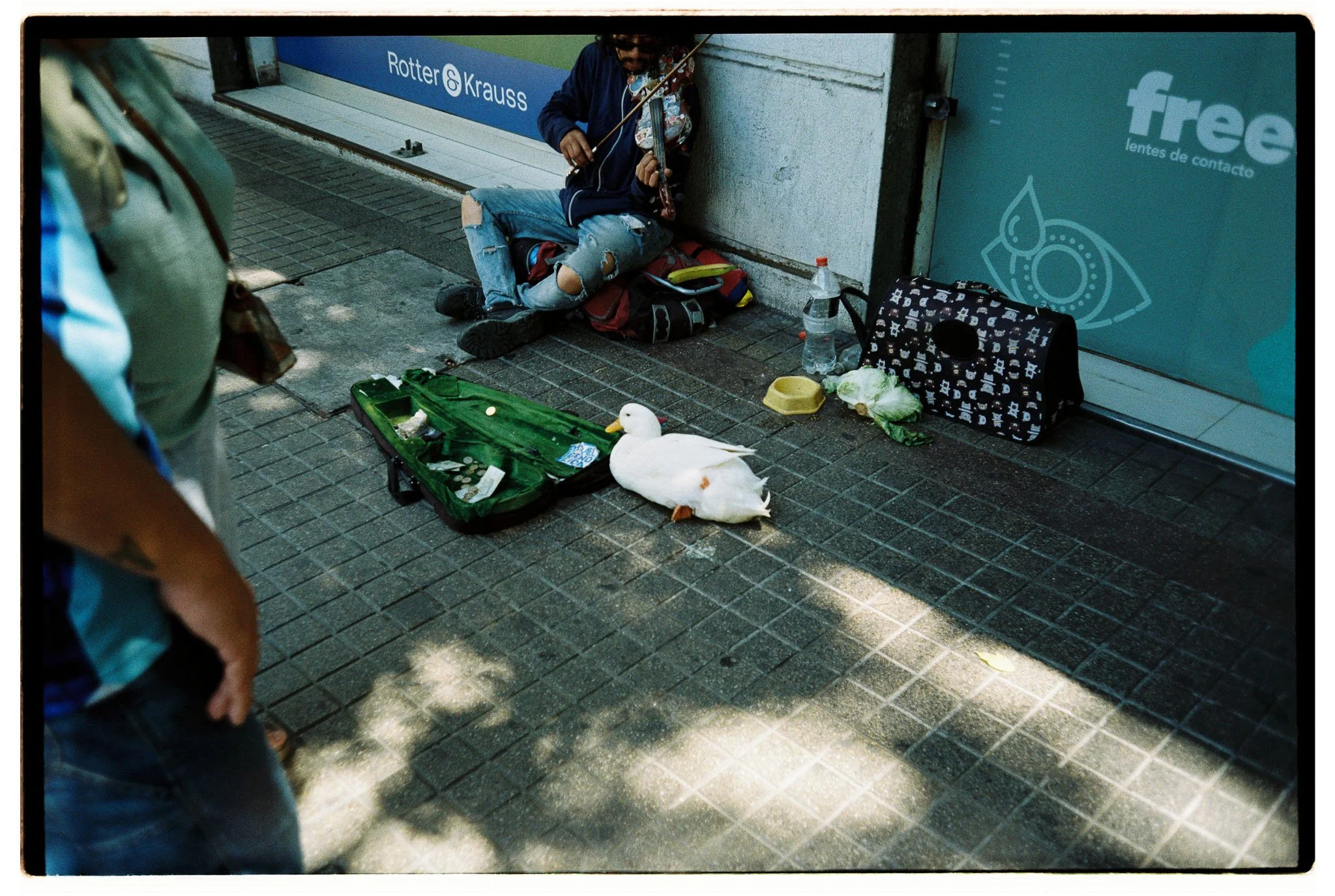 Matias_Alvial_February_2026_504.jpg