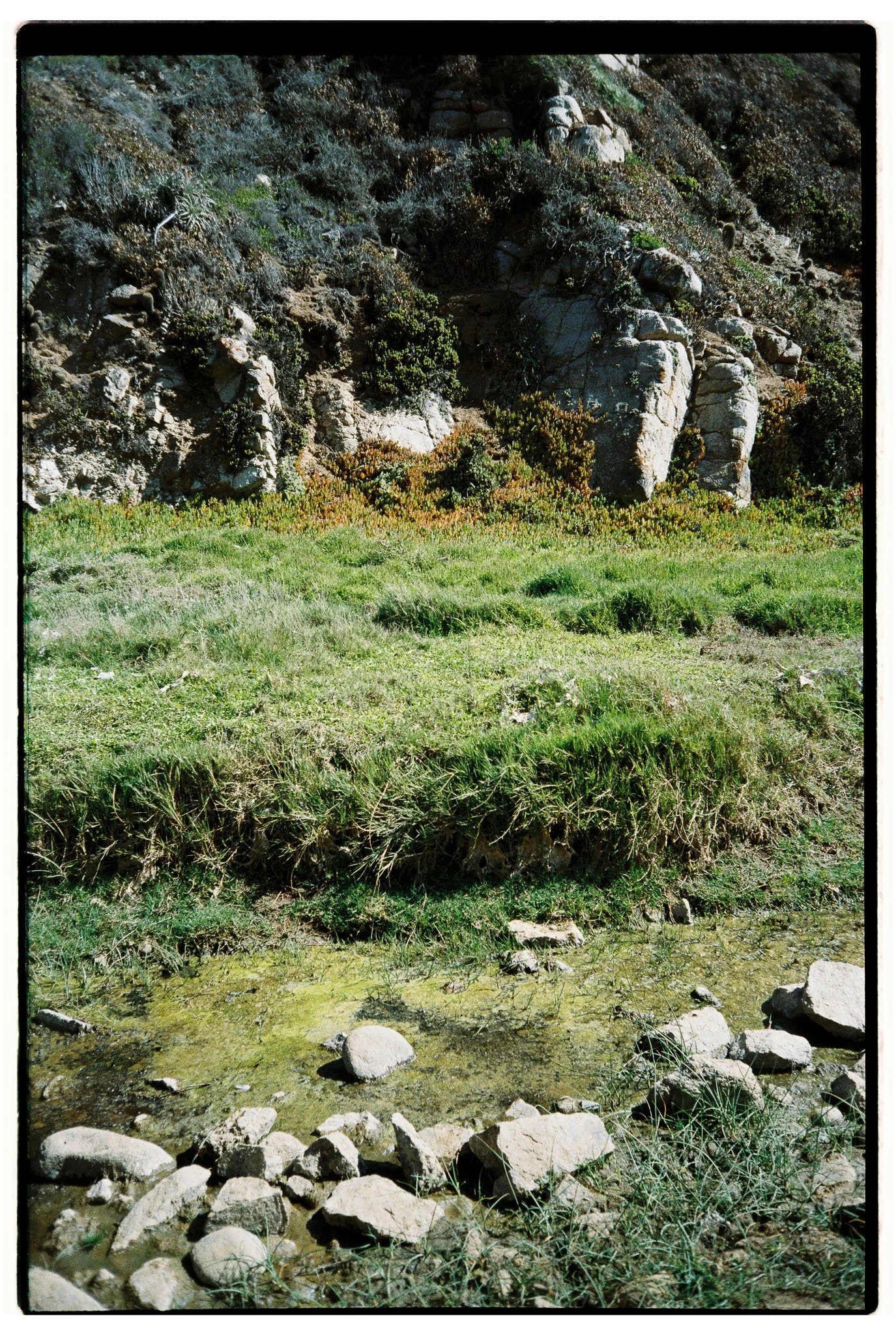 Matias_Alvial_February_2026_130.jpg