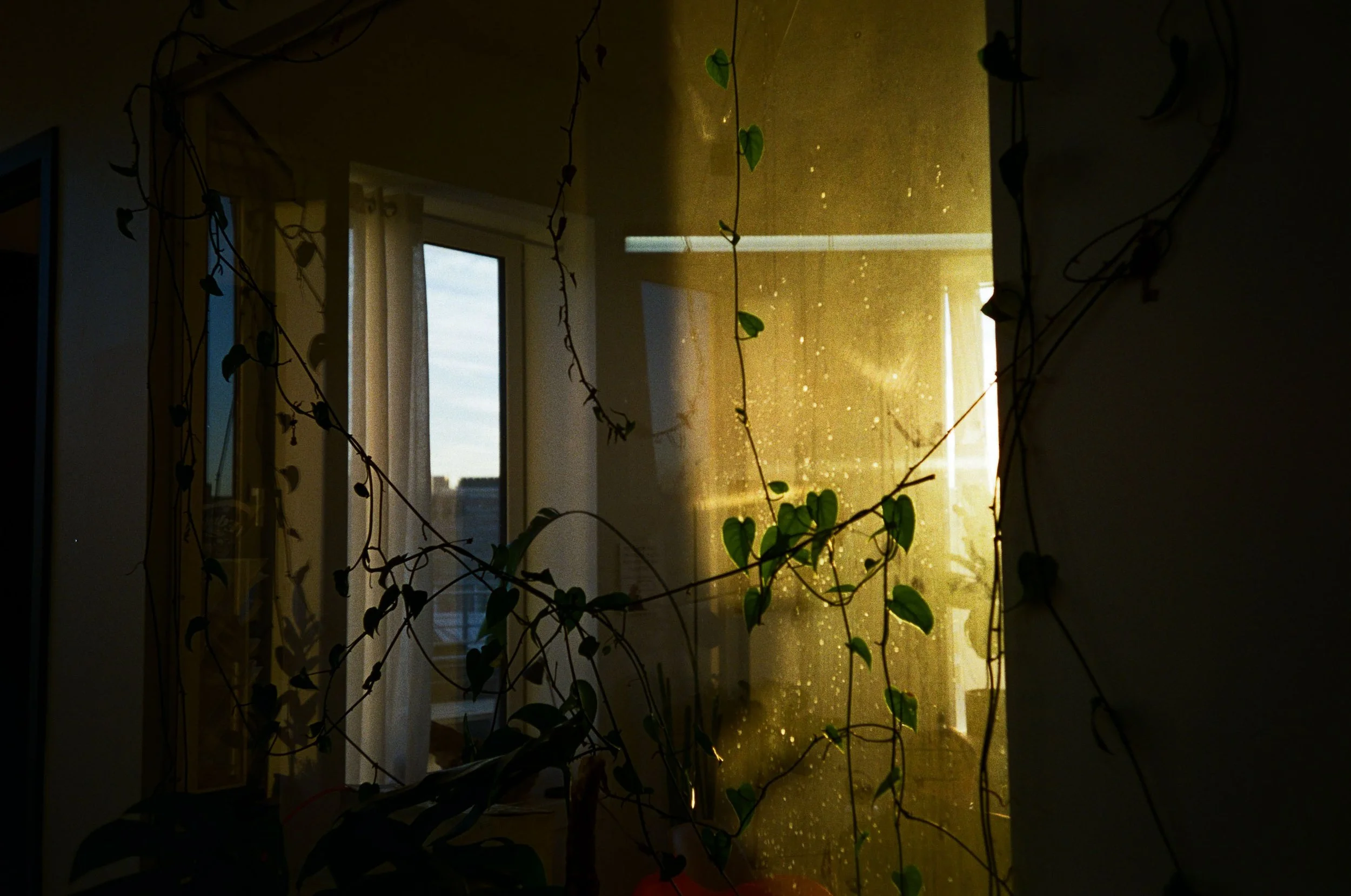 Matias_Alvial_December_2025_70.jpg