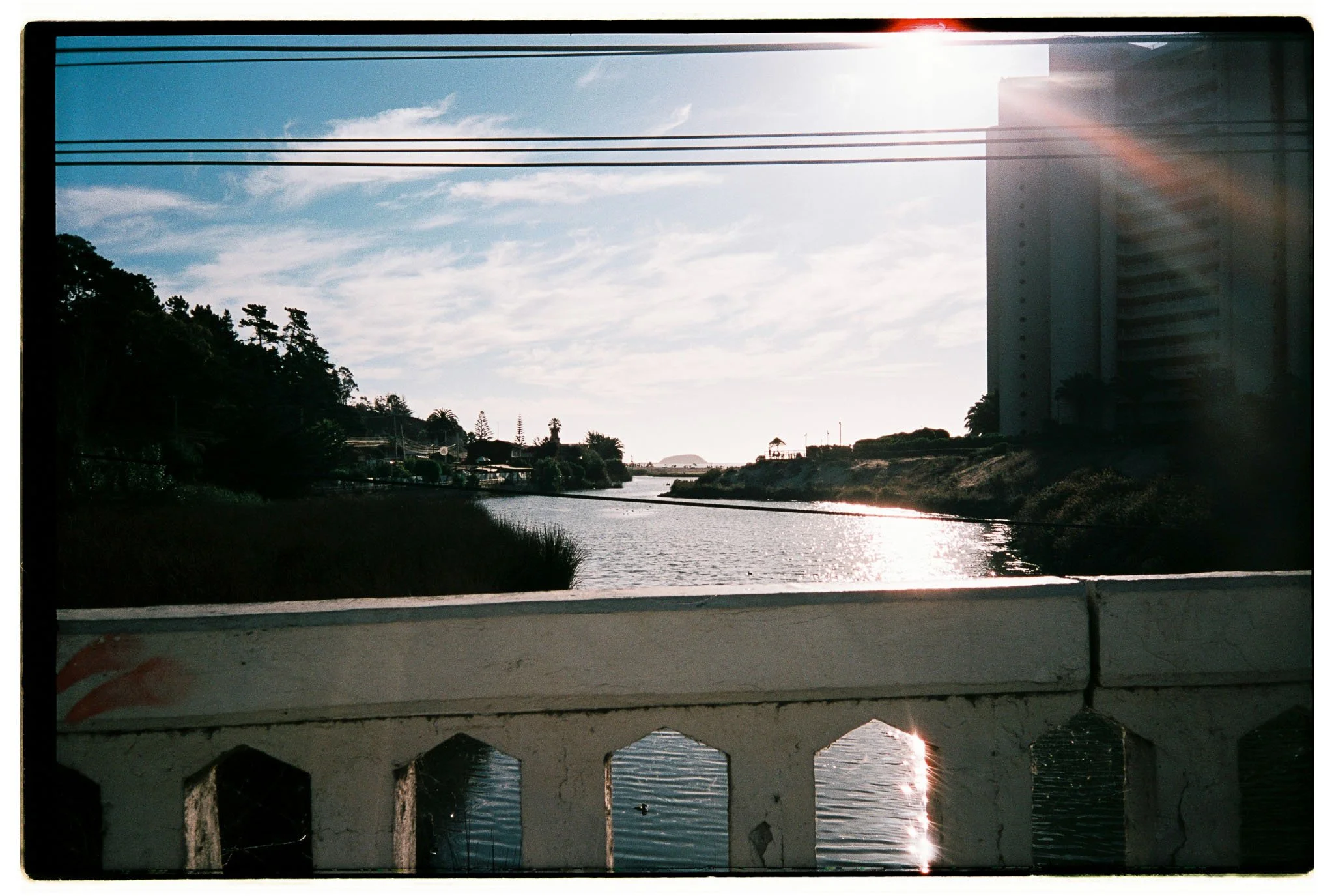 Matias_Alvial_February_2026_223.jpg