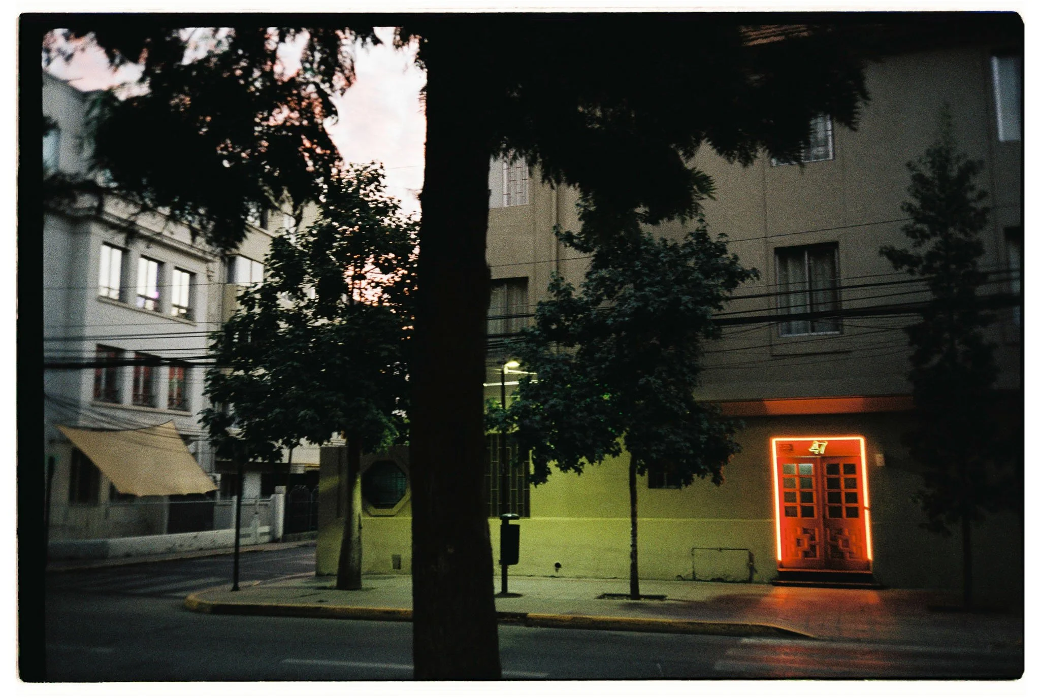 Matias_Alvial_February_2026_532.jpg