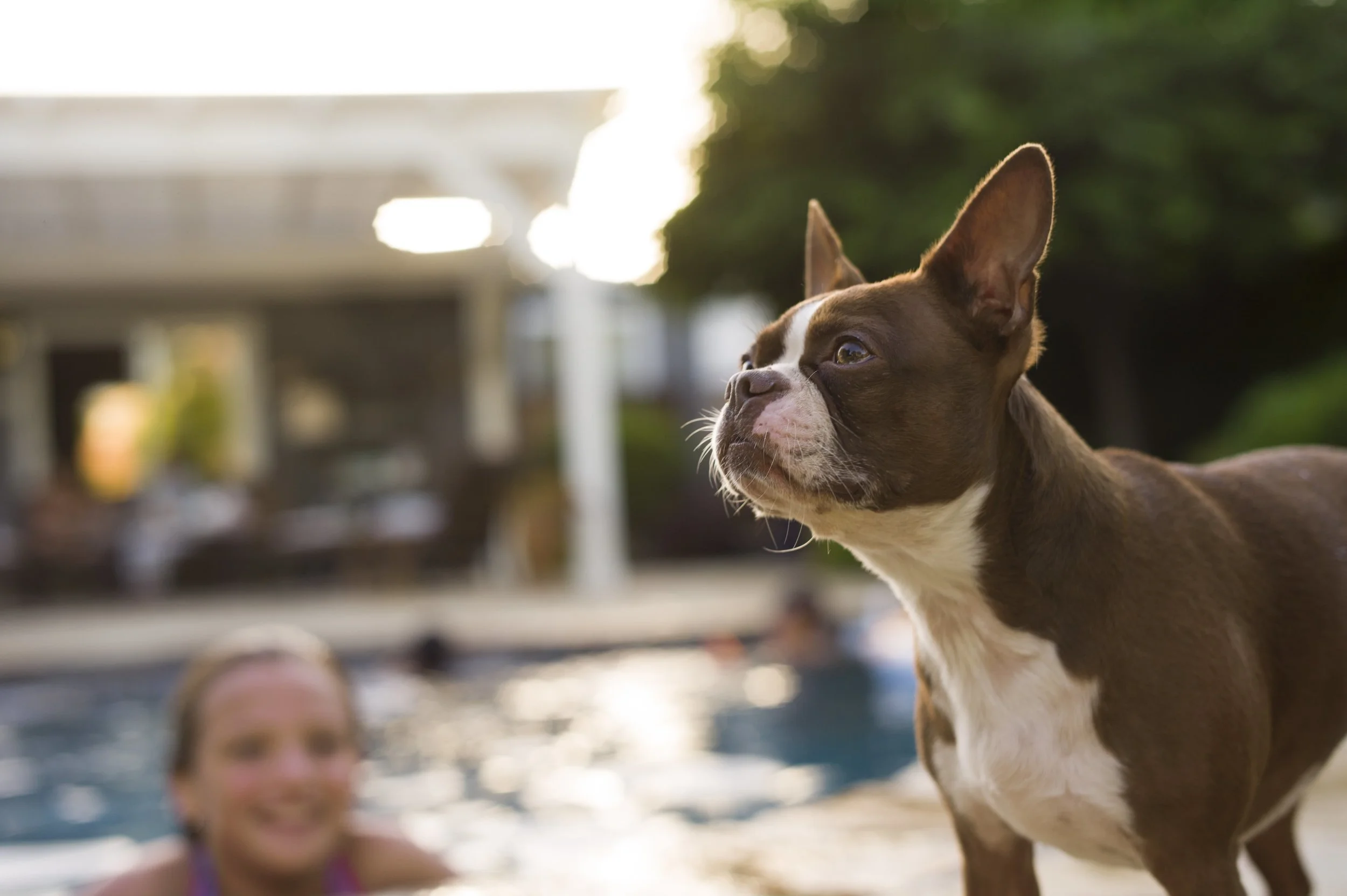 2 star calculator selects_279.JPG