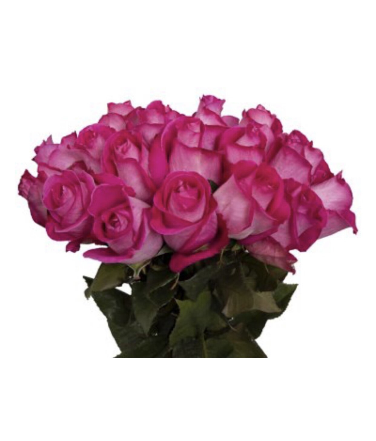 24BBA724-6946-4FB9-8FEC-70CEEB13193A