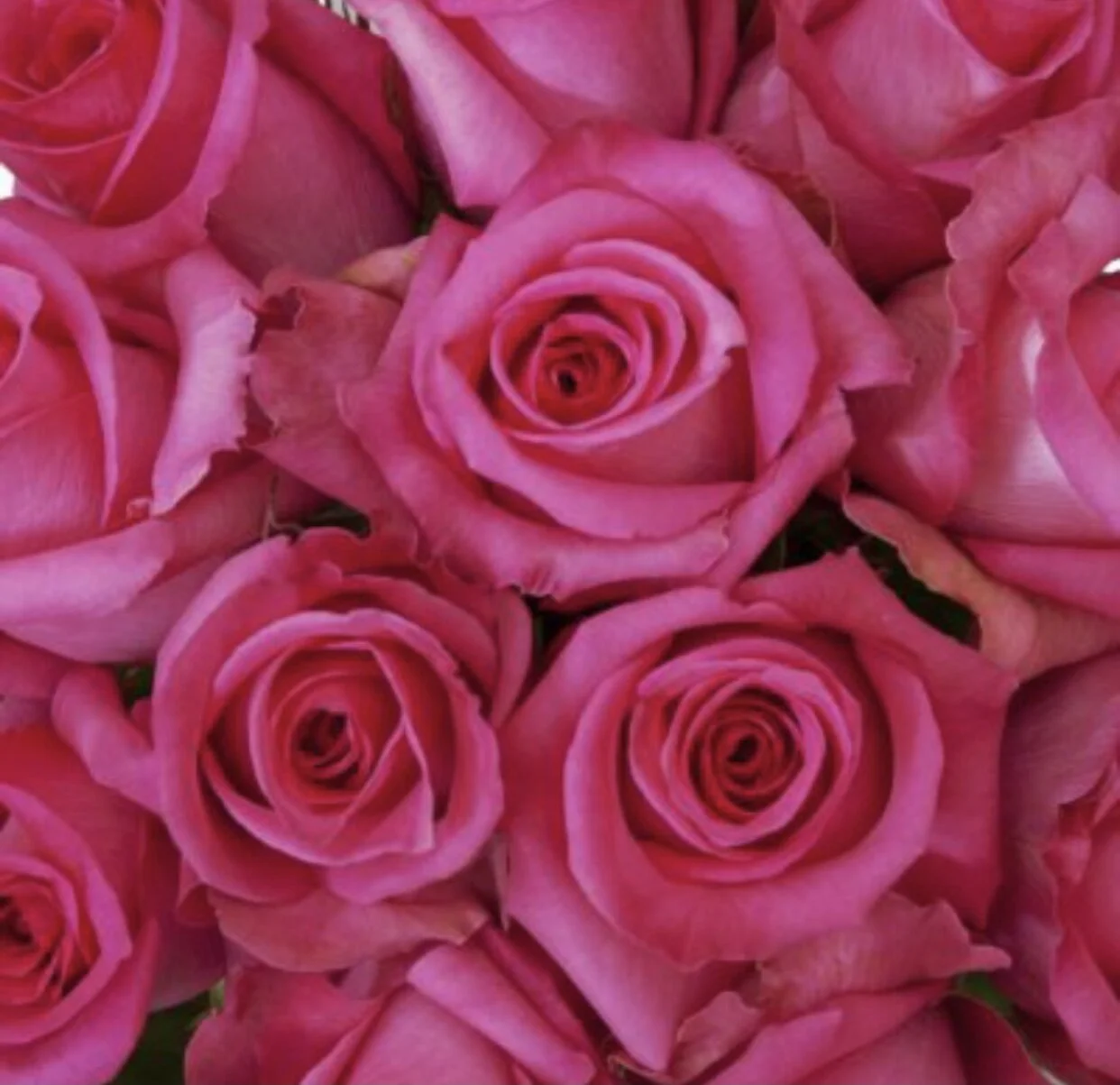 09B801DB-02F4-4BEF-90AA-DA83096B9187