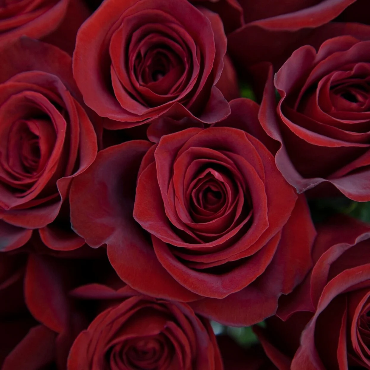 F8E92813-D3F4-4F4D-A171-9C8307D7CC15