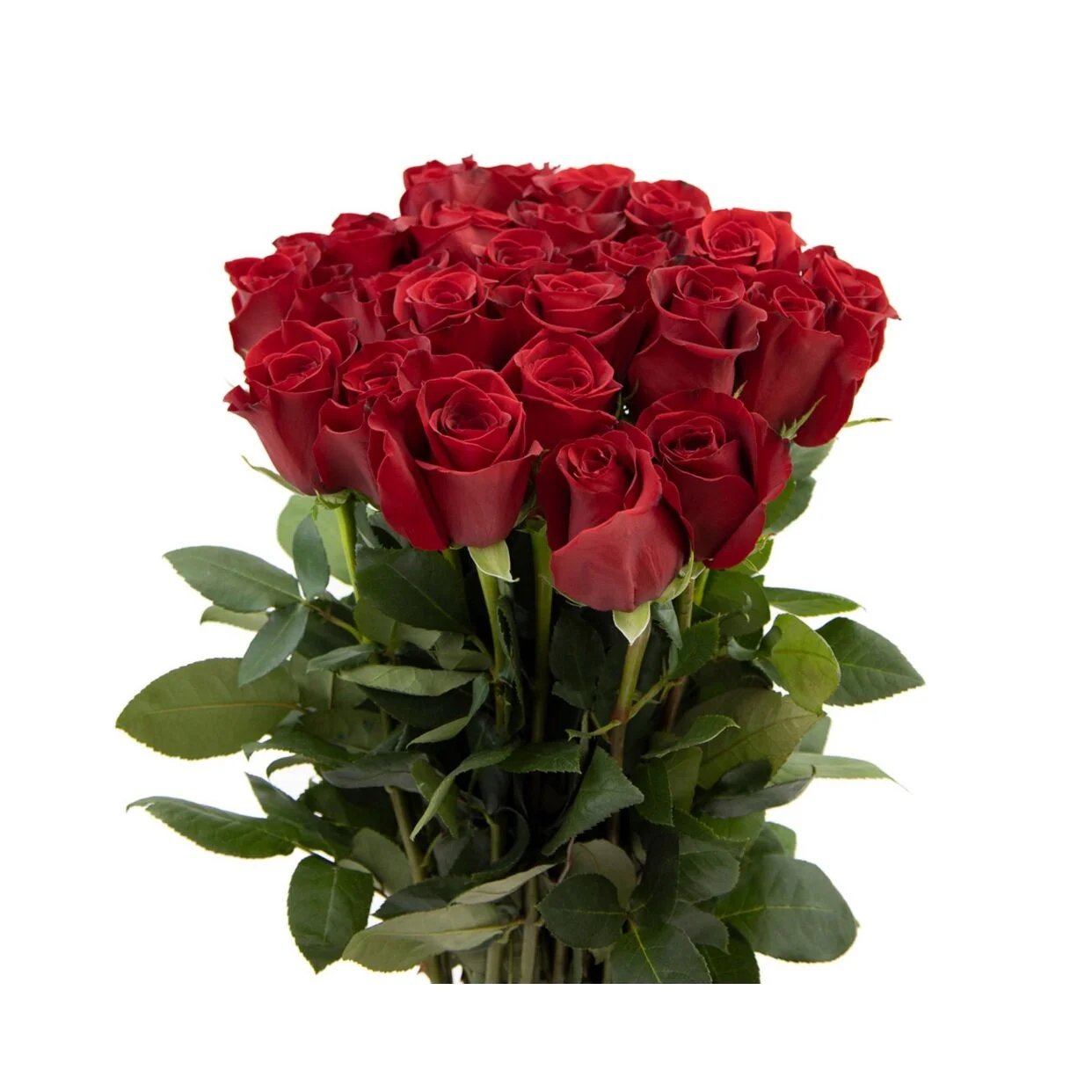 DEF669CF-6A43-47A1-9B96-A47758E955B4