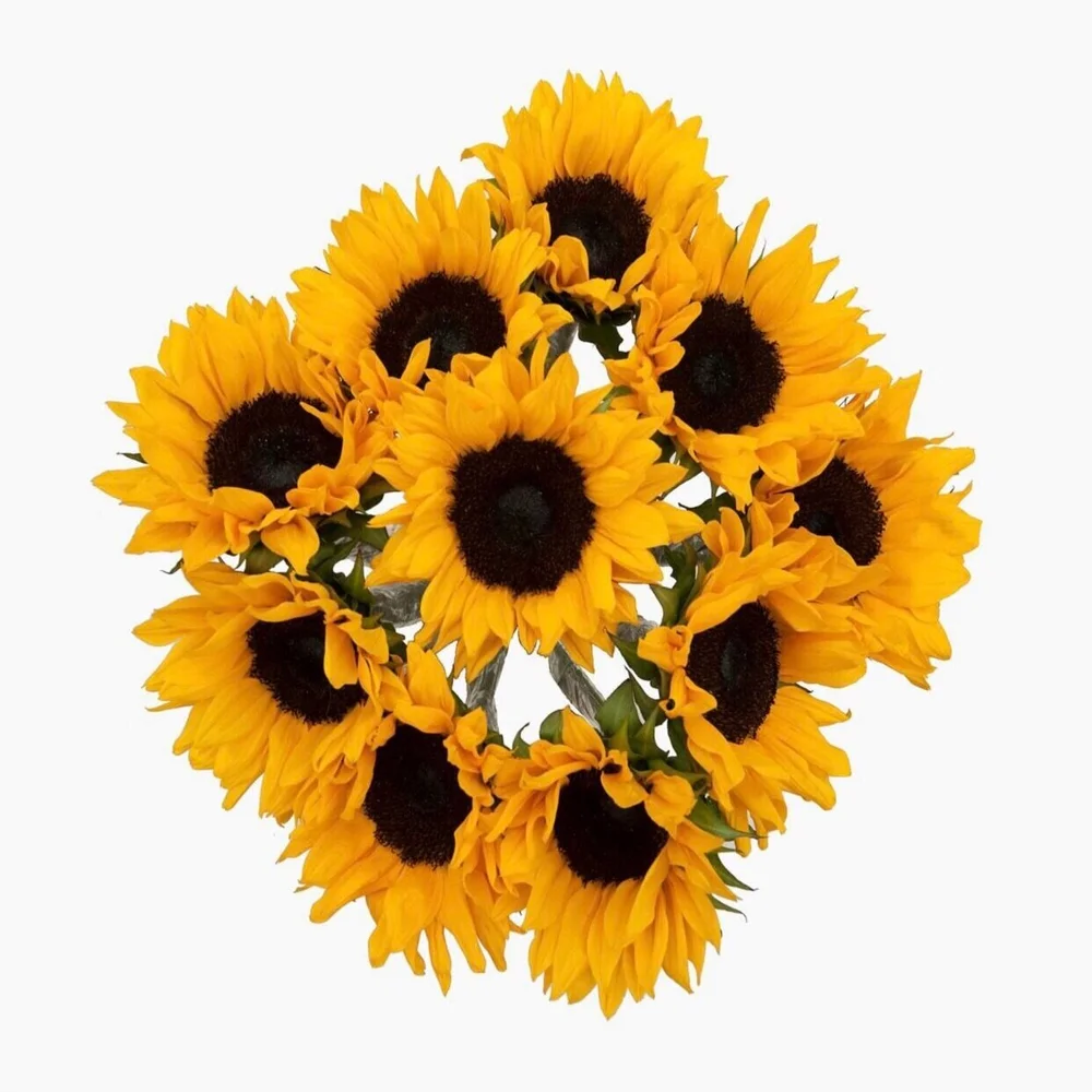 sunflower171707ページ 293006.jpg
