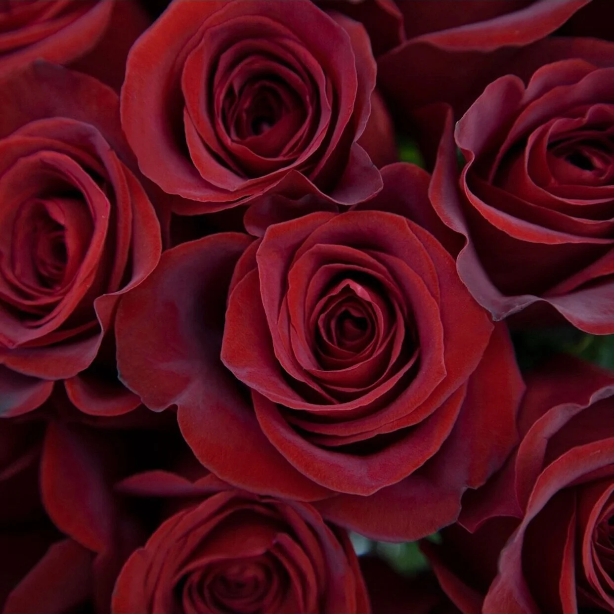 FD806350-A6FE-4023-BE97-246B62B9542A