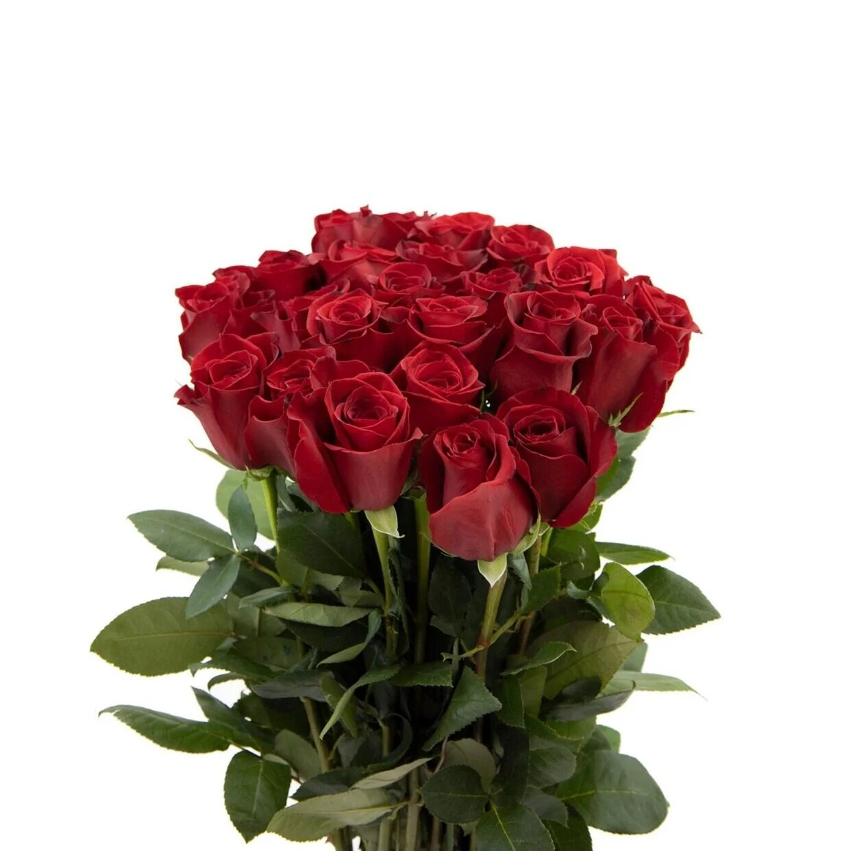 F7C134B9-2A5B-440E-9AE4-A907A5F2FBEA