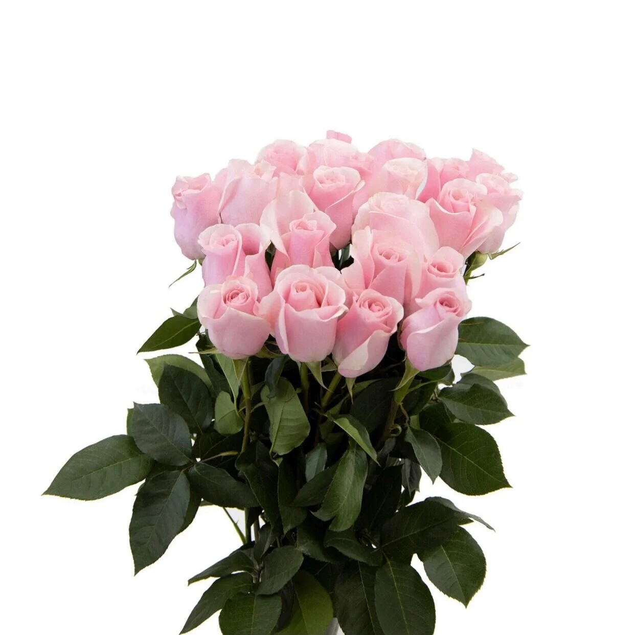 46D94D84-DDF2-4AF0-9FFB-1EA5F8C3AE25