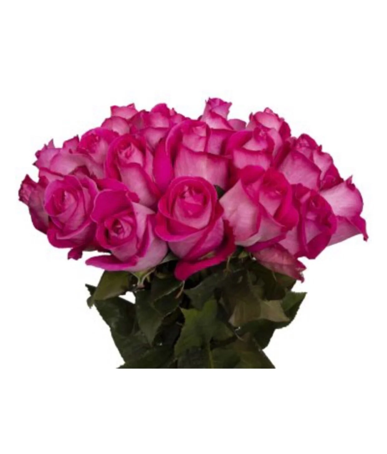 7765BD81-1E1F-4710-B1AA-C528D100119C