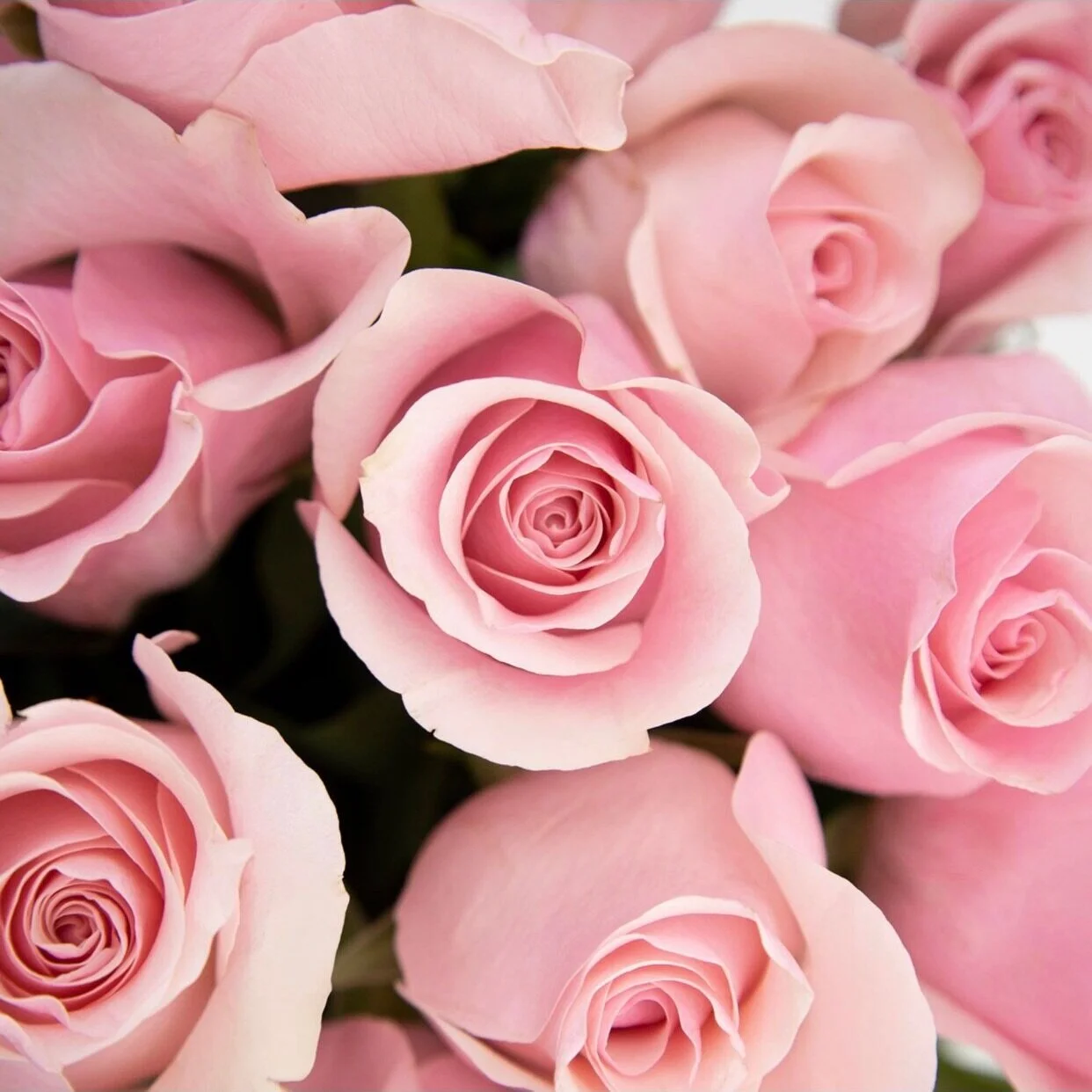 3FEDA118-A44C-4F6B-A508-55227B0E63F4