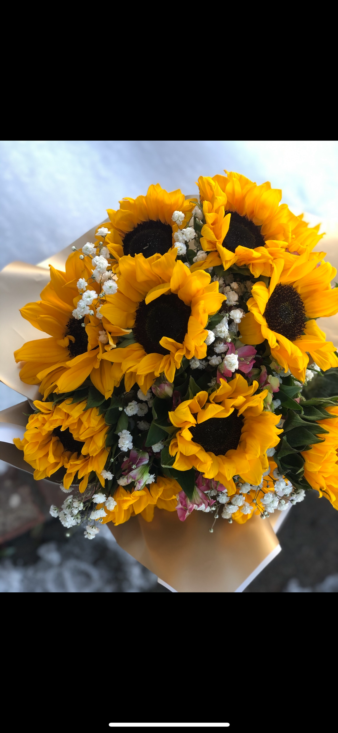 D0F5E3A6-6EA8-4848-B024-CE0954542596