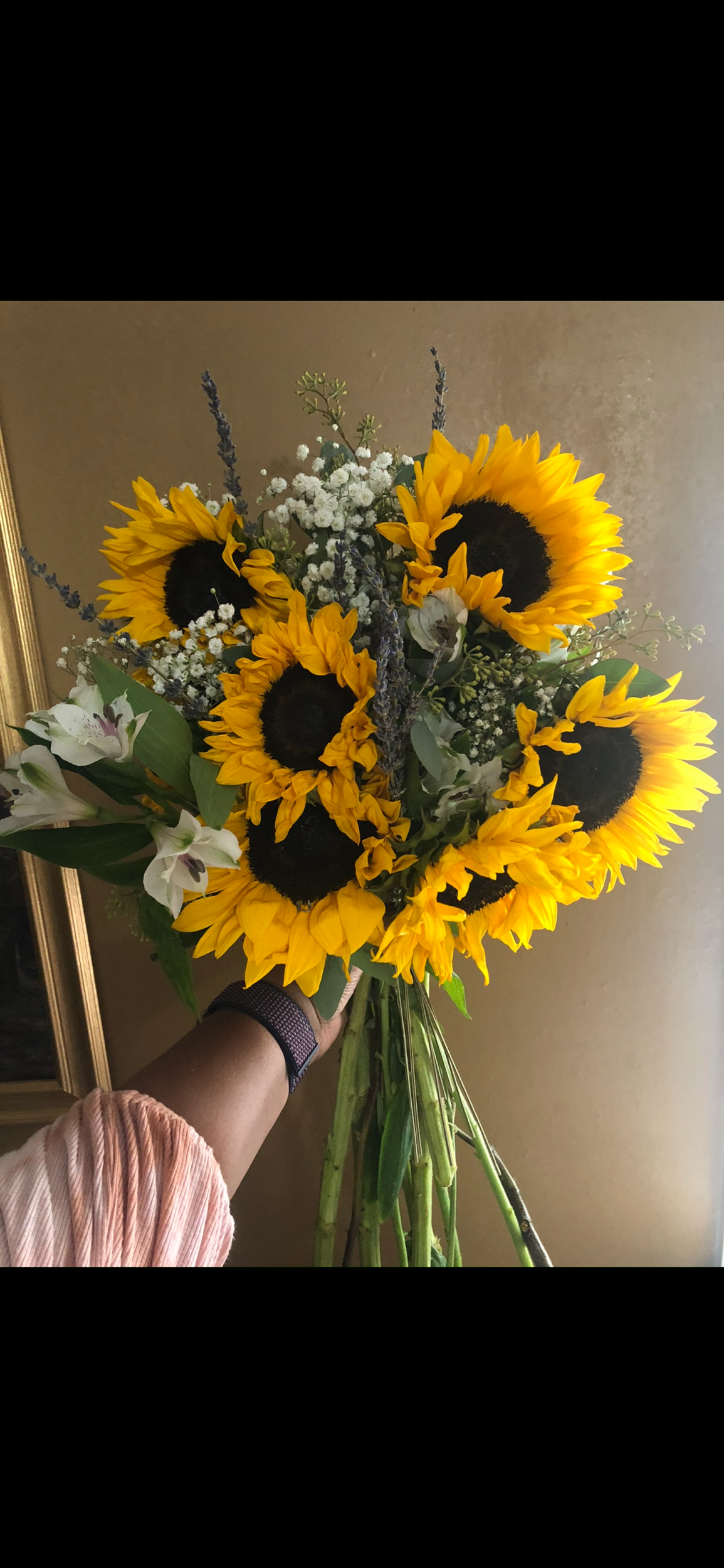 AC4B9343-013E-4C80-9277-B64A6B3206B3