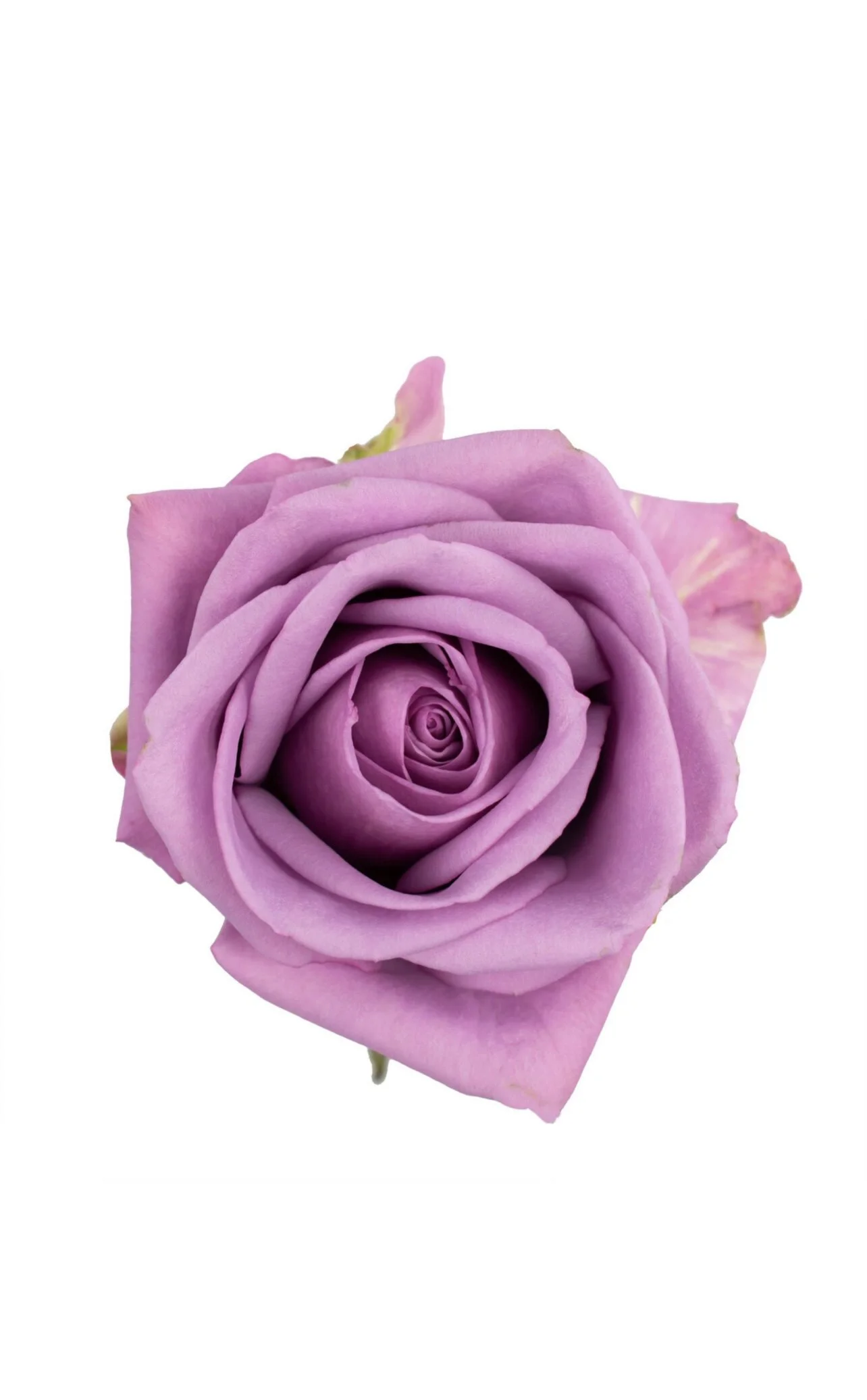 87841A06-5B82-4B27-A240-E987CDA1F81B