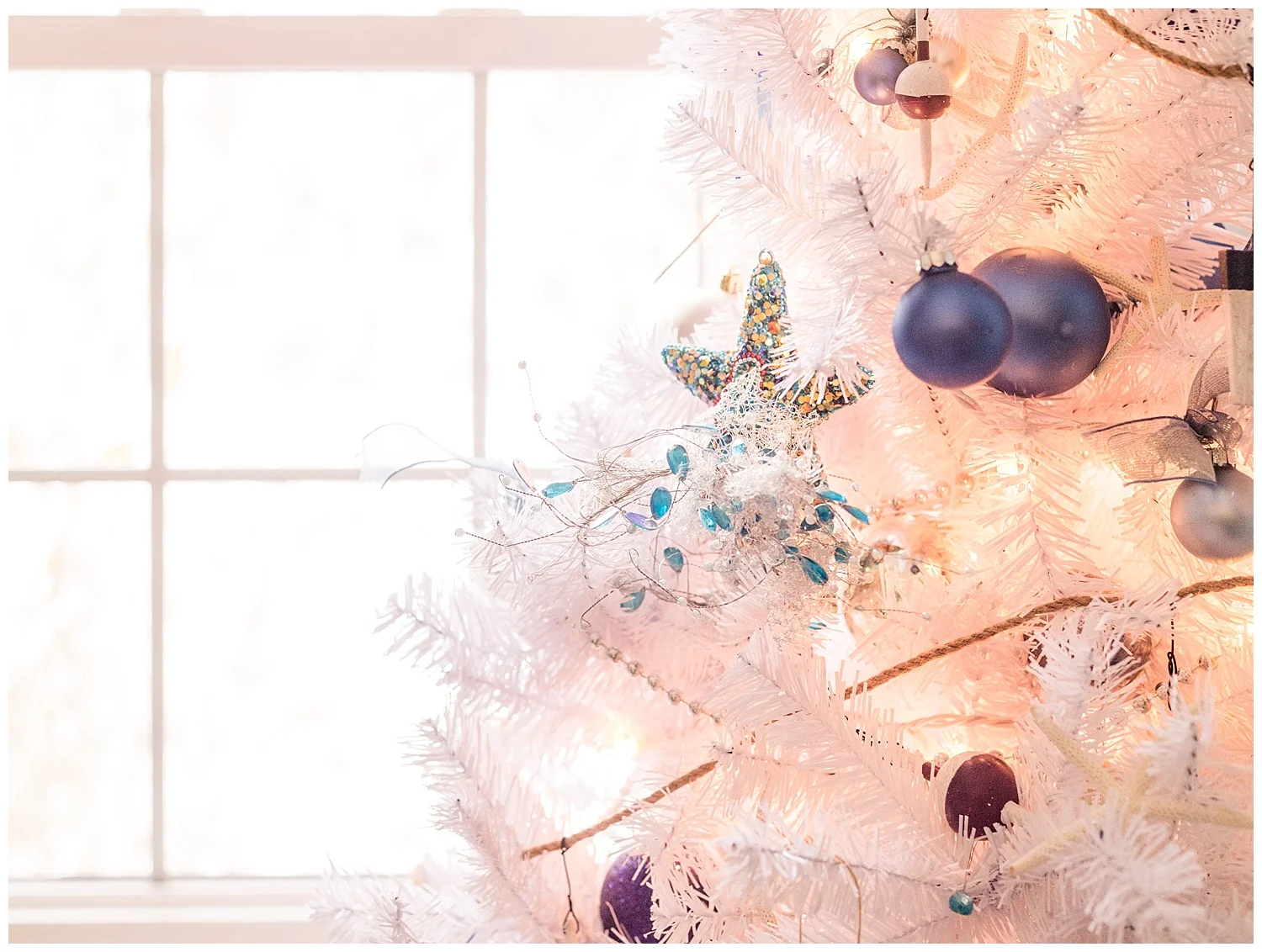Richmond Winter Photos + Coastal Christmas Decor 