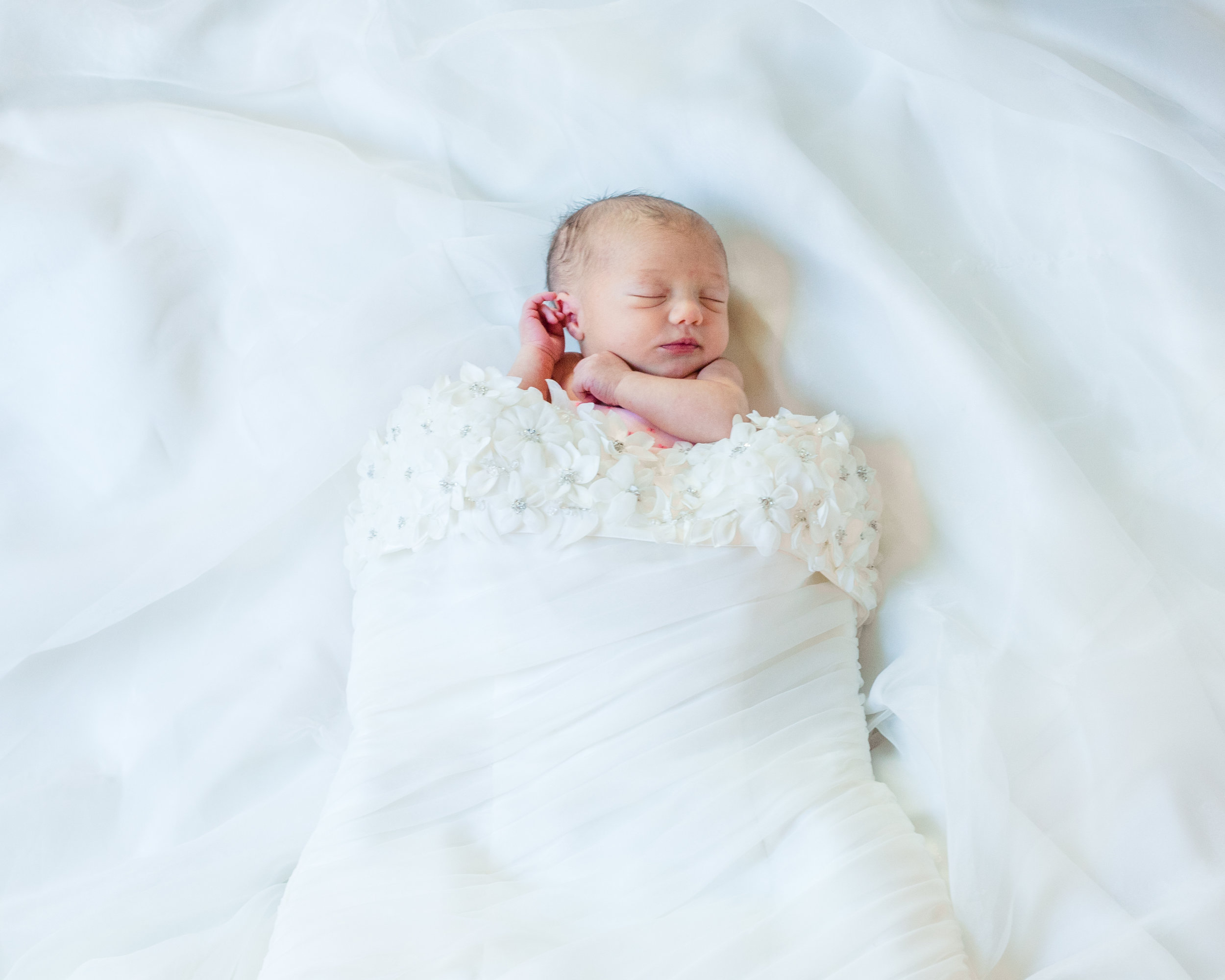 Newborn in Her Mommy's Wedding Dress - Virginia Photographer