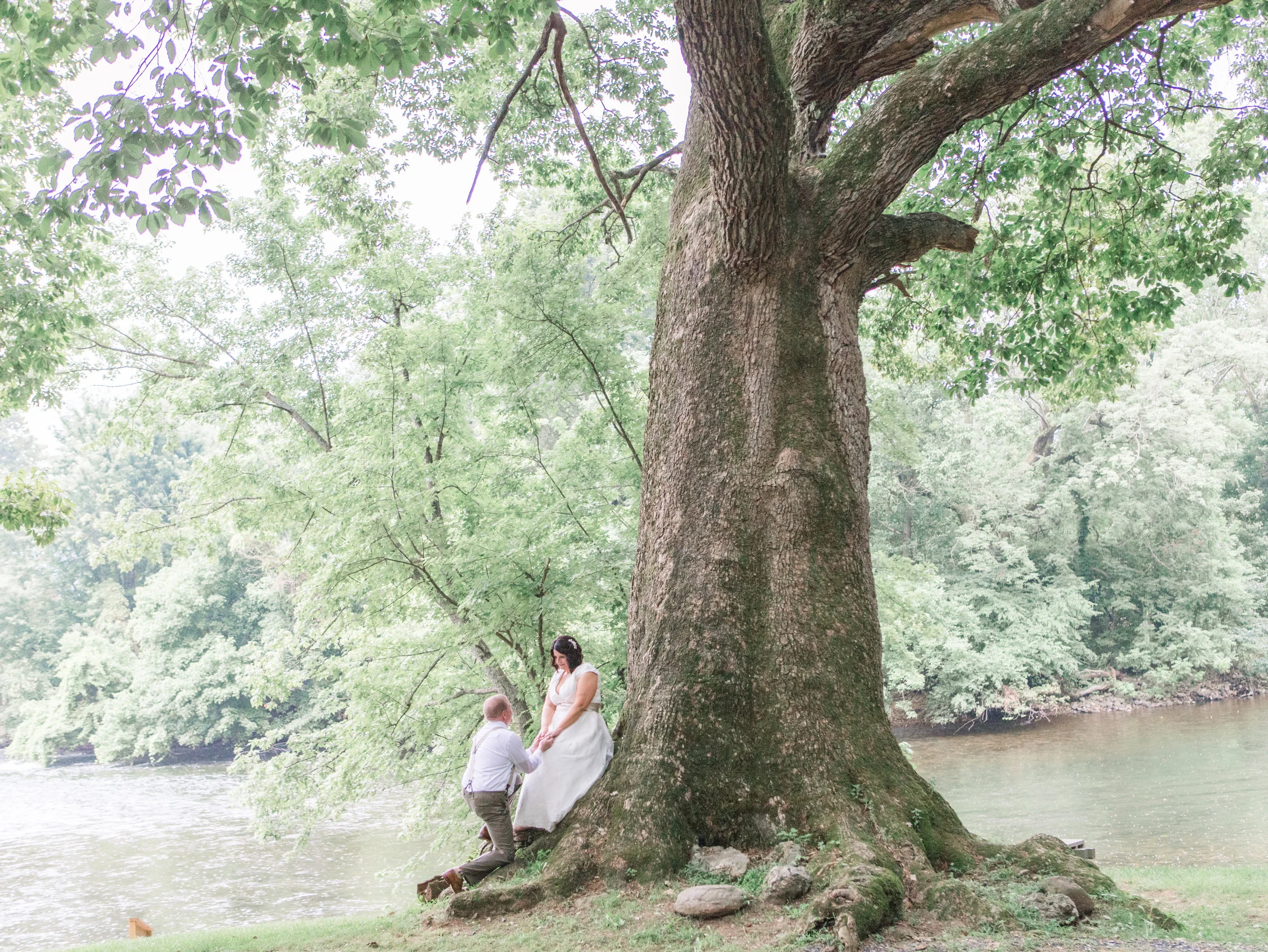  Elkton, VA Wedding Under Historic Tree 