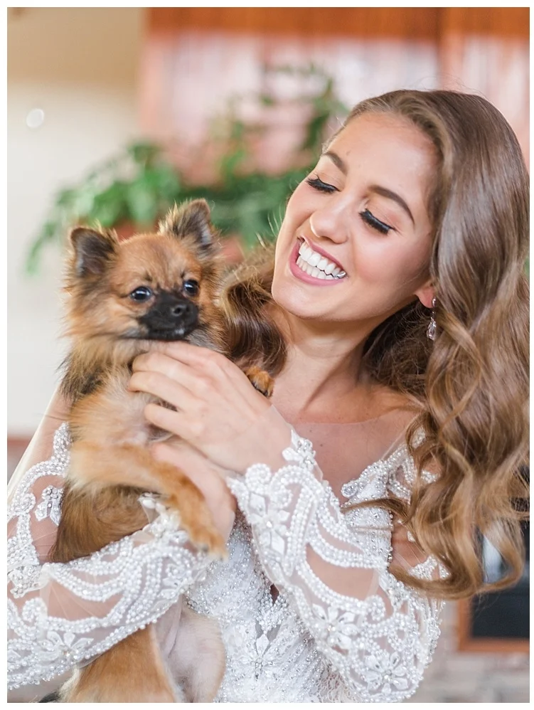 Ashton Creek Vineyard Wedding Shoot - with Dog 'Beanie'