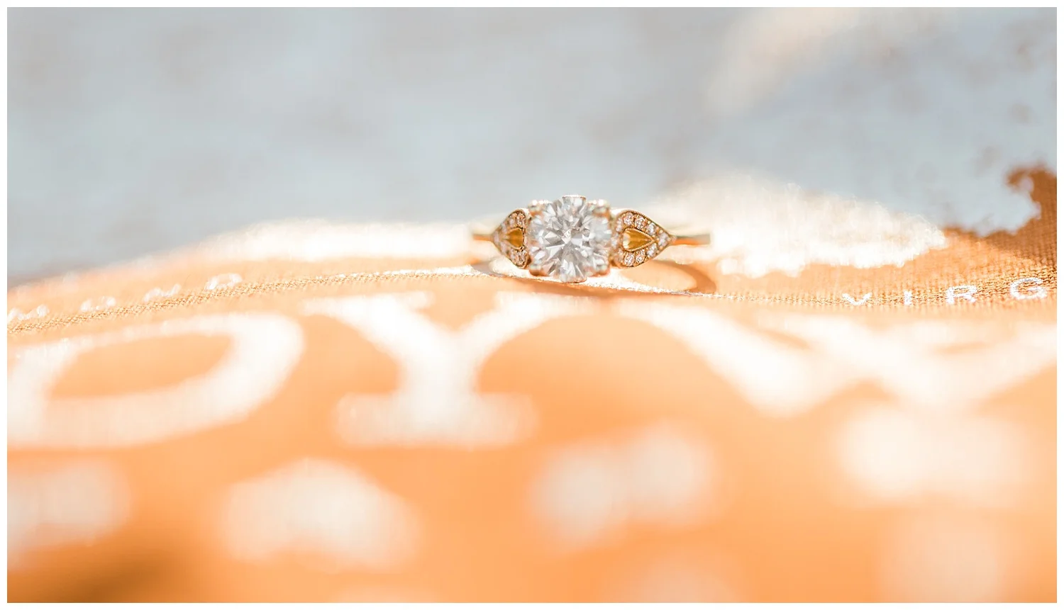 Hardywood Richmond Engagement Photos - Marissa + Albie