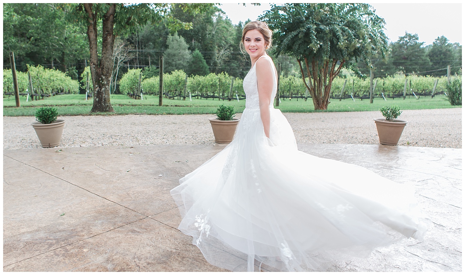 Virginia Wedding Photographer - Vineyard Estate at New Kent Winery