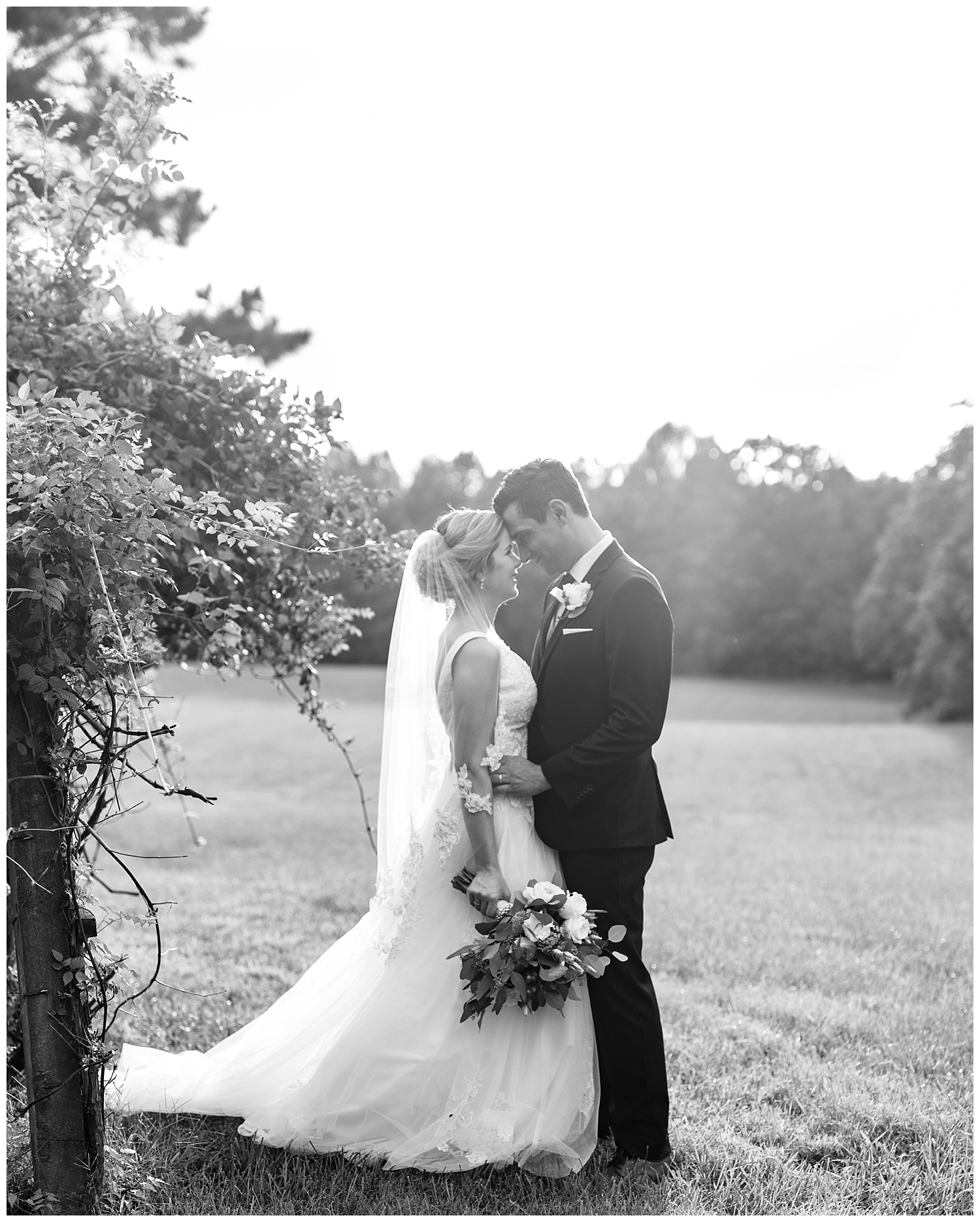 Virginia Wedding Photographer - Vineyard Estate at New Kent Winery