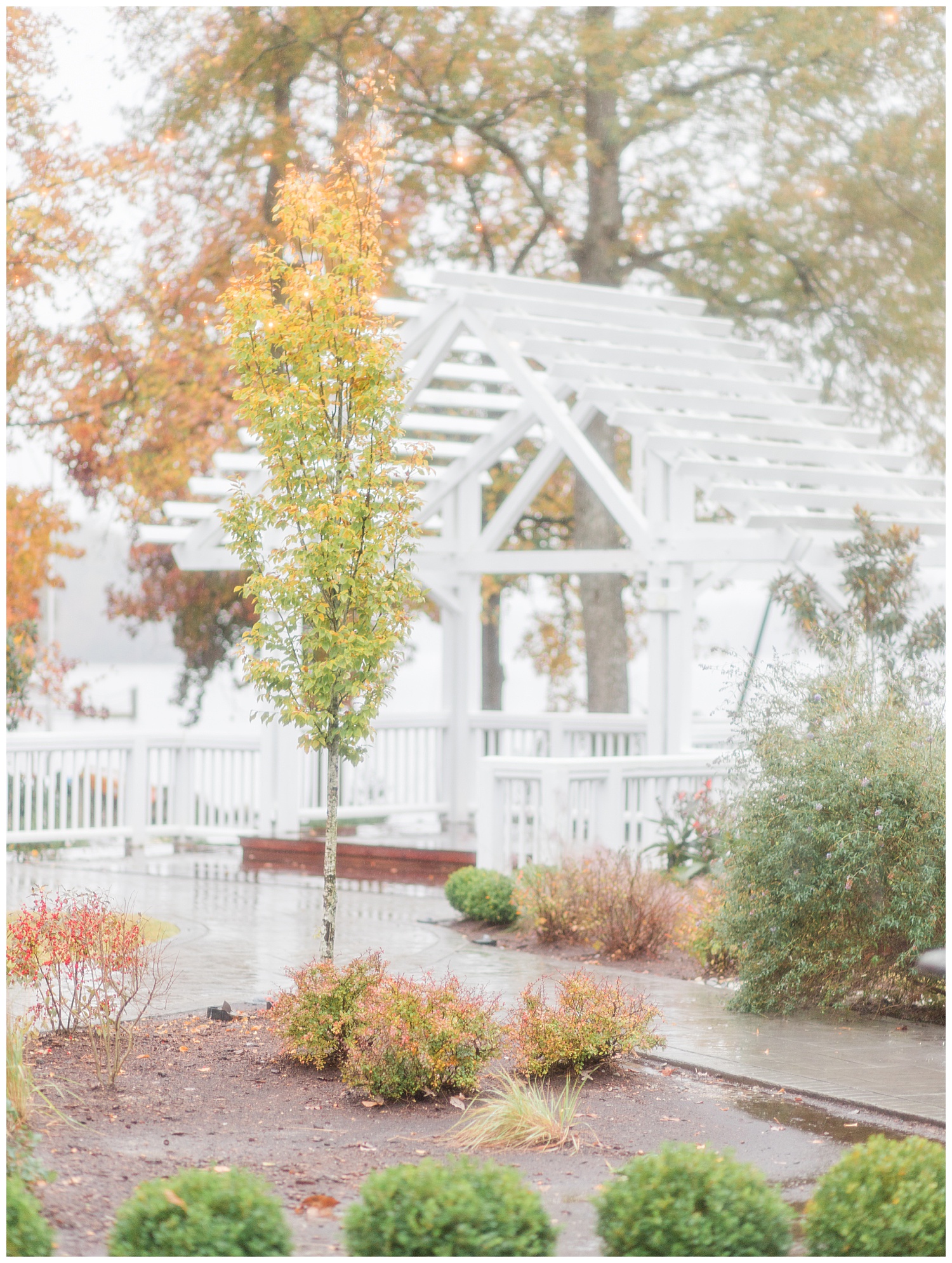 Boathouse at Sunday Park Wedding - Richmond Virginia Wedding Photographer - Ashale + Jordan
