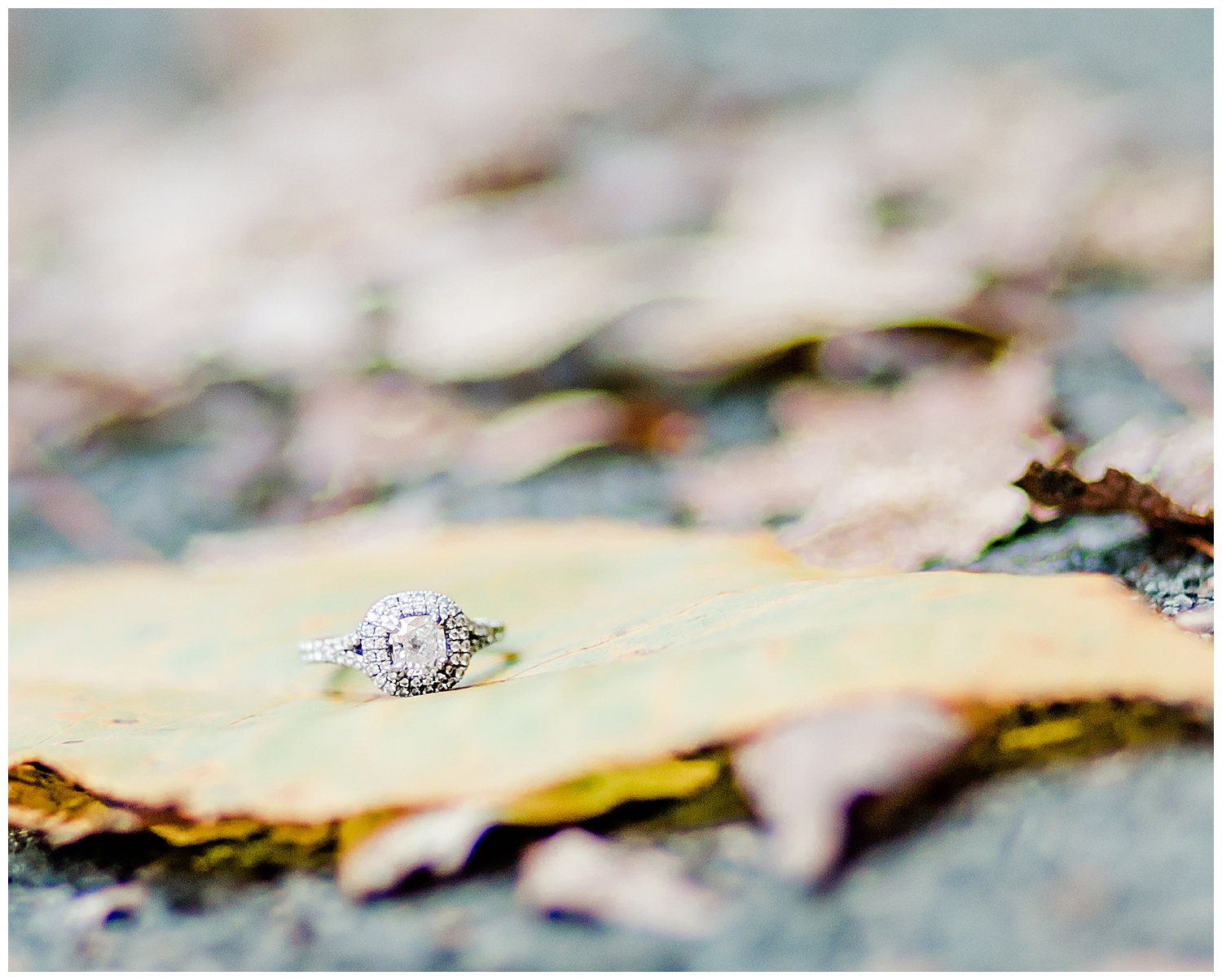 Mid-Lothian Mines Park Engagement photos - Virginia Wedding Photographer