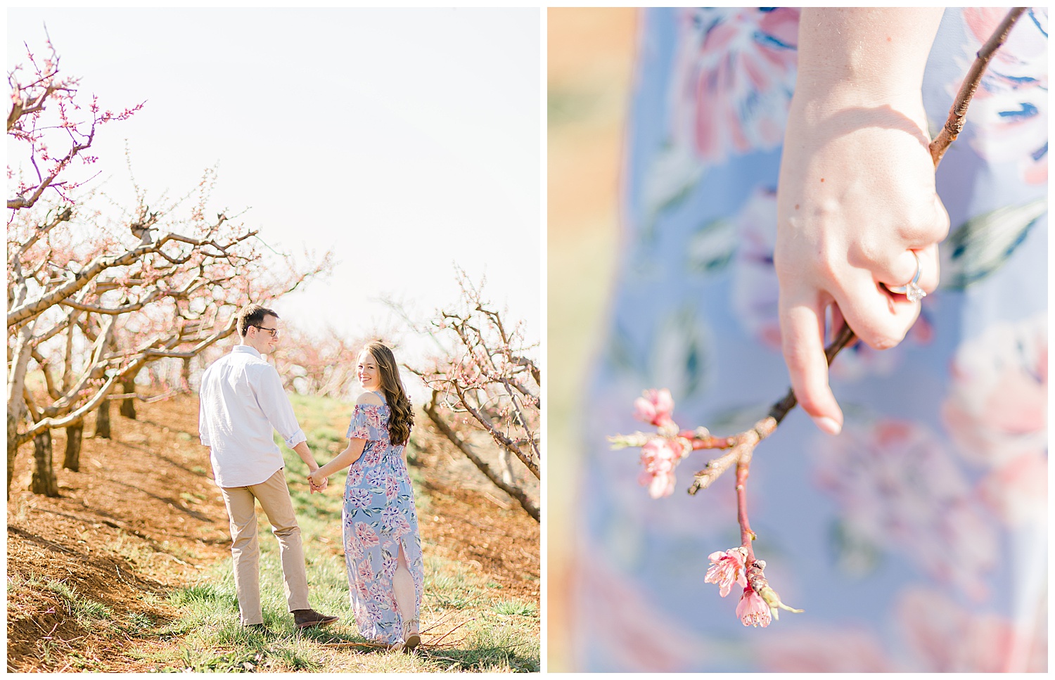 Carter Mountain Engagement Photos | Charlottesville, Virginia