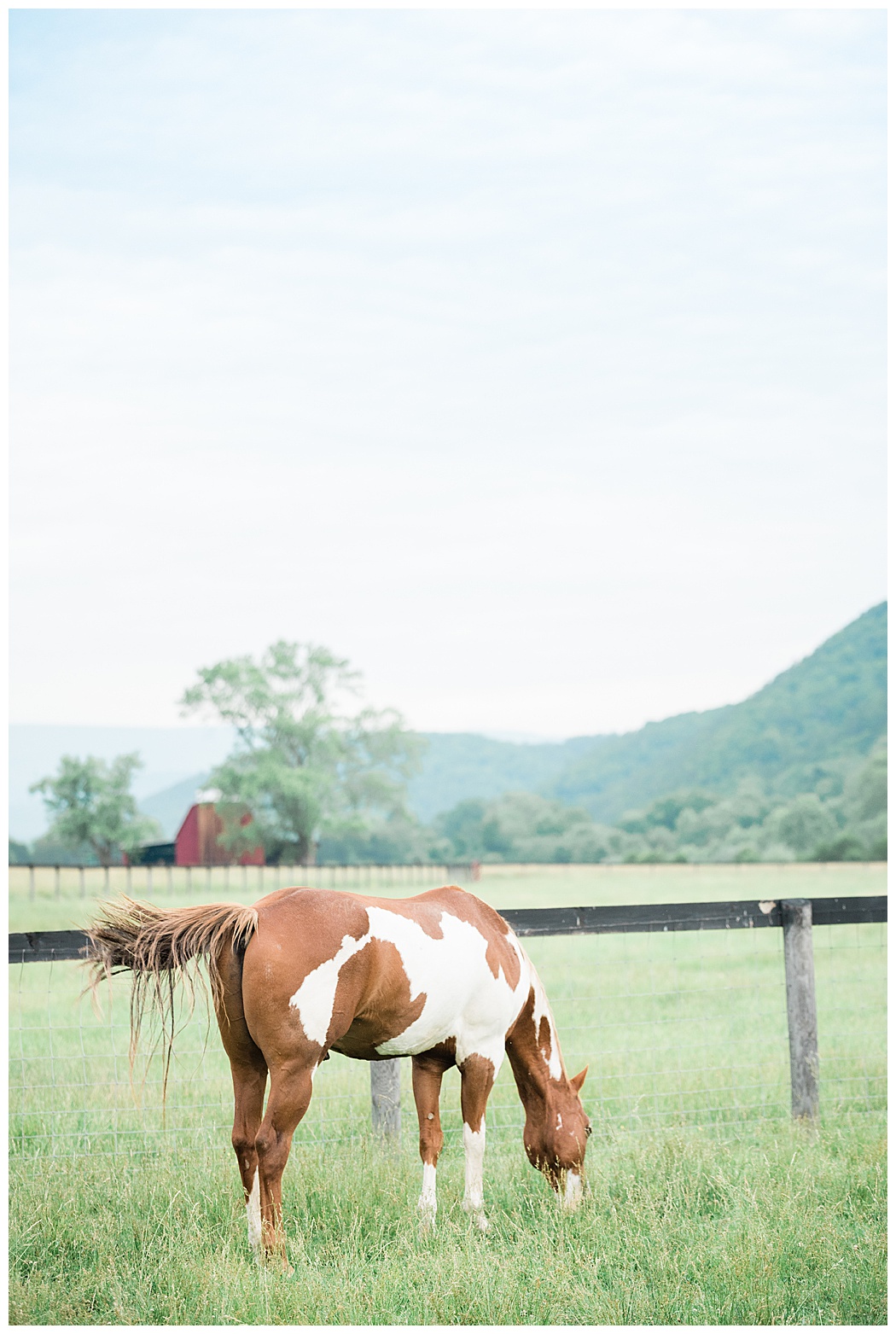 River Uplands Farm Wedding | Virginia Wedding Photographers 