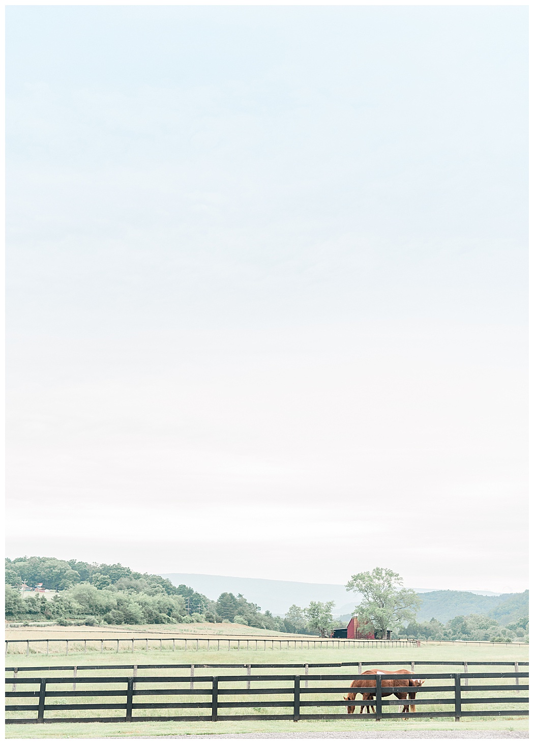 River Uplands Farm Wedding | Virginia Wedding Photographers