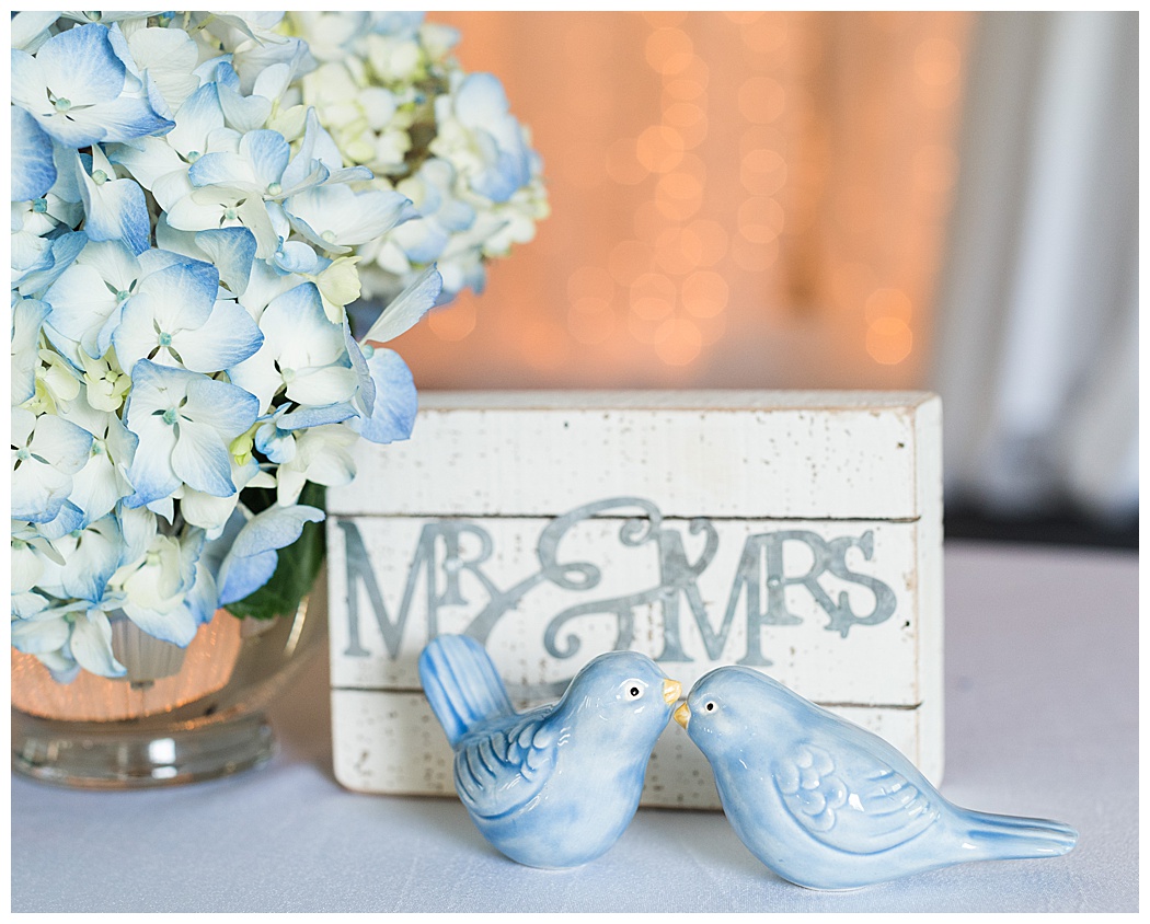 Charlottesville Wedding Reception | Virginia wedding photographers