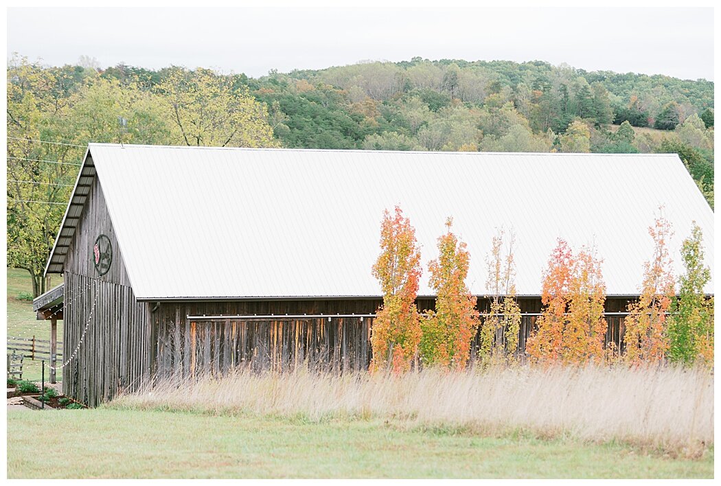 sorella-farms-wedding-evington-virginia-photographer_1783.jpg