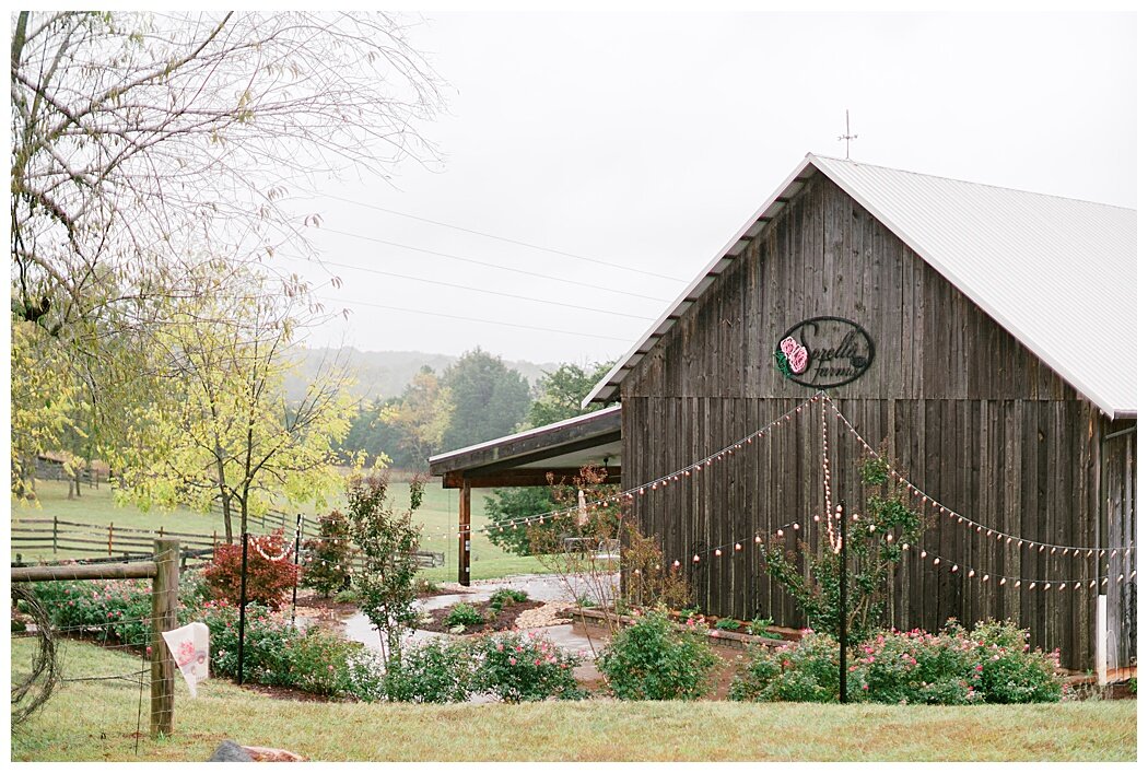  Sorella Farms Wedding | Mountain Elegance in the Fall