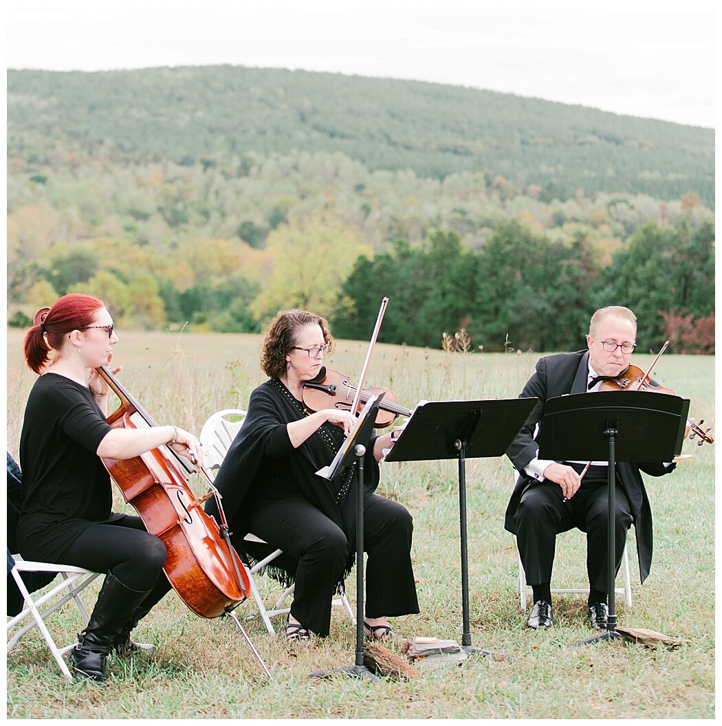 sorella-farms-wedding-evington-virginia-photographer_1867.jpg