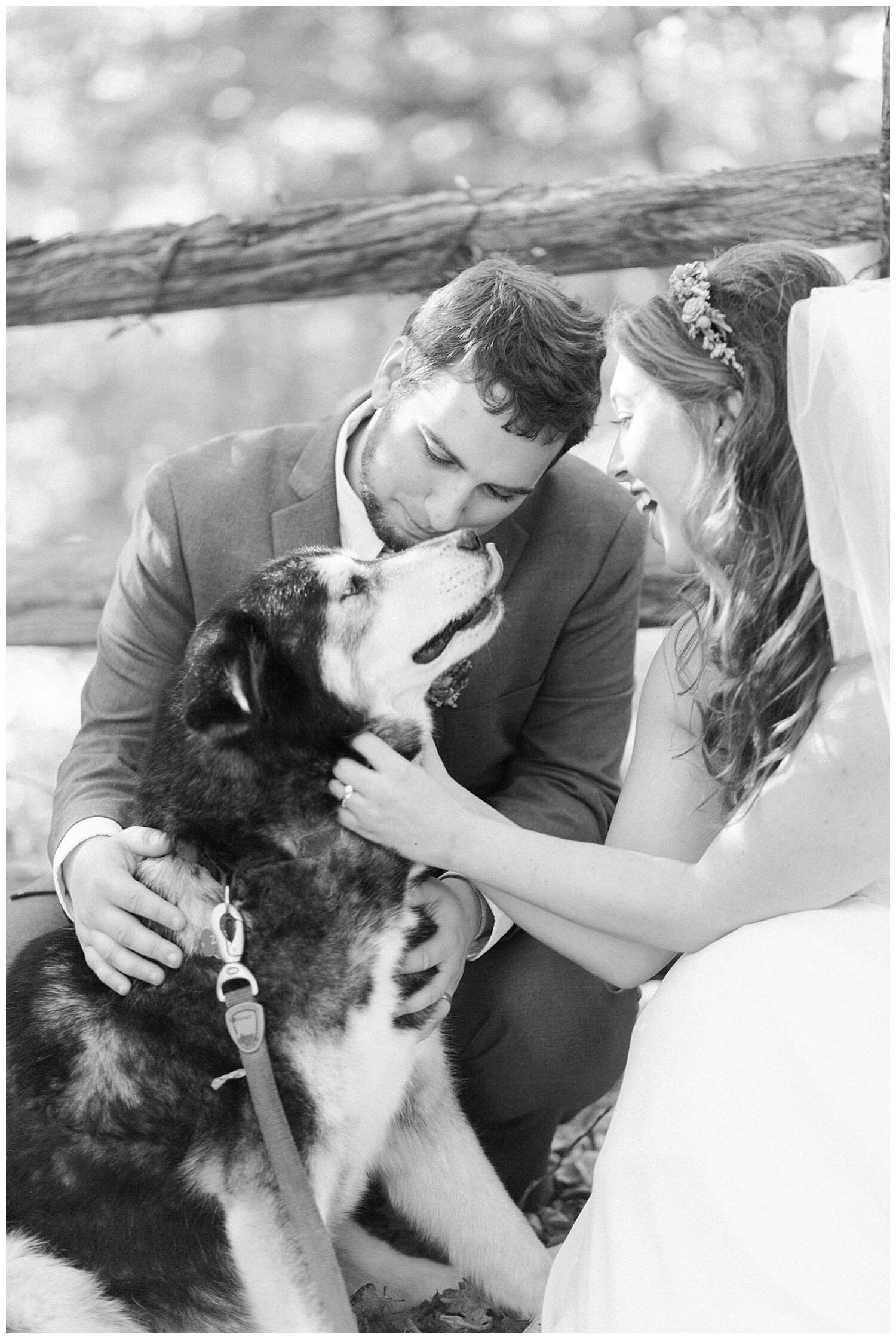wedding-photos-with-dogs-5.jpg
