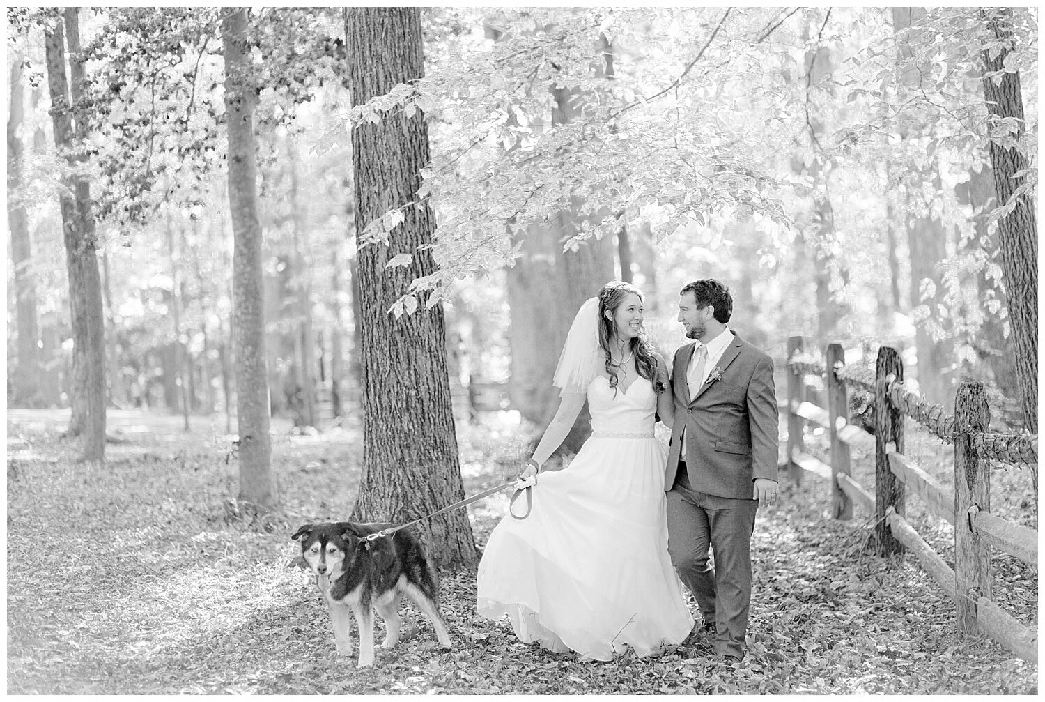 wedding-portraits-with-dogs-2.jpg