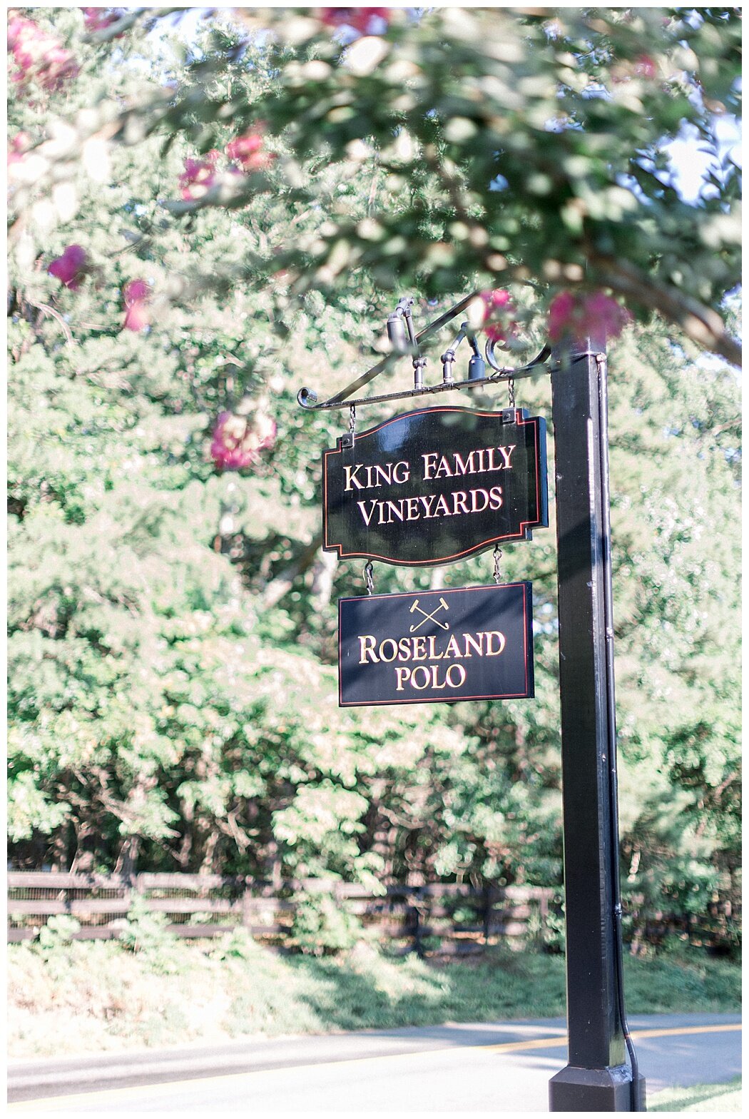 Polo-at-King-Family-Vineyards.jpg