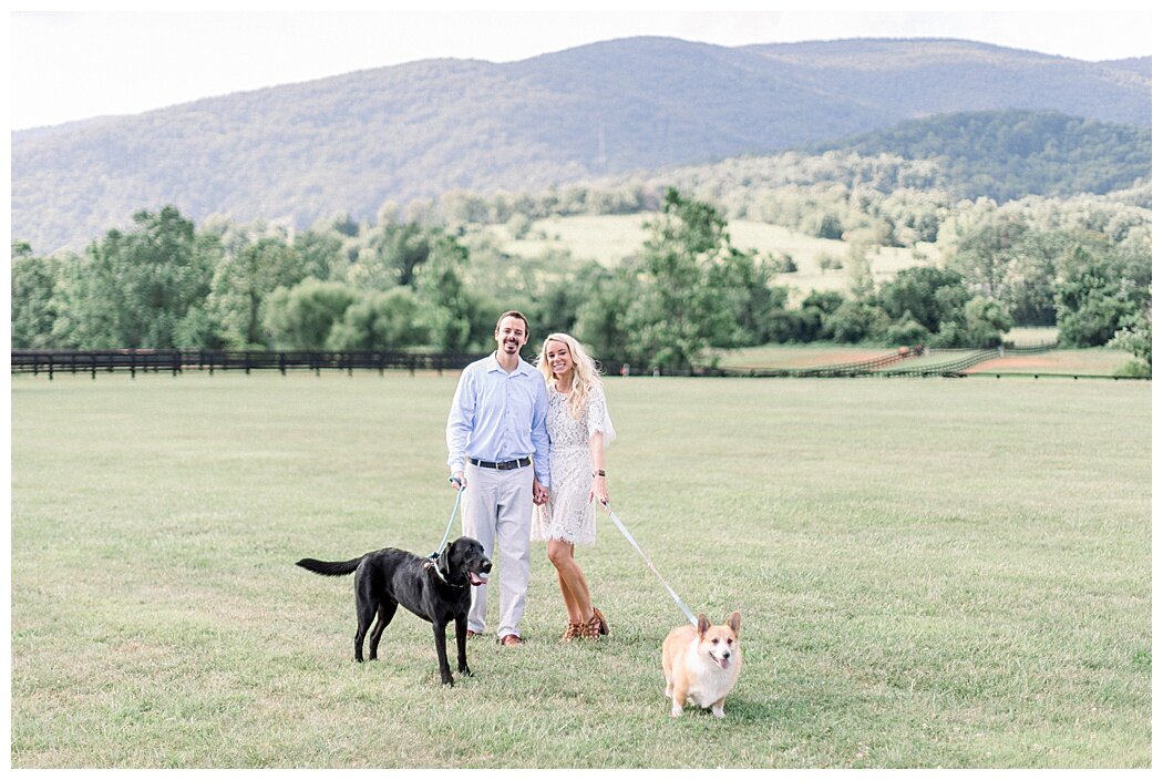 King-Family-Vineyards-engagement-photos-with-dogs.jpg