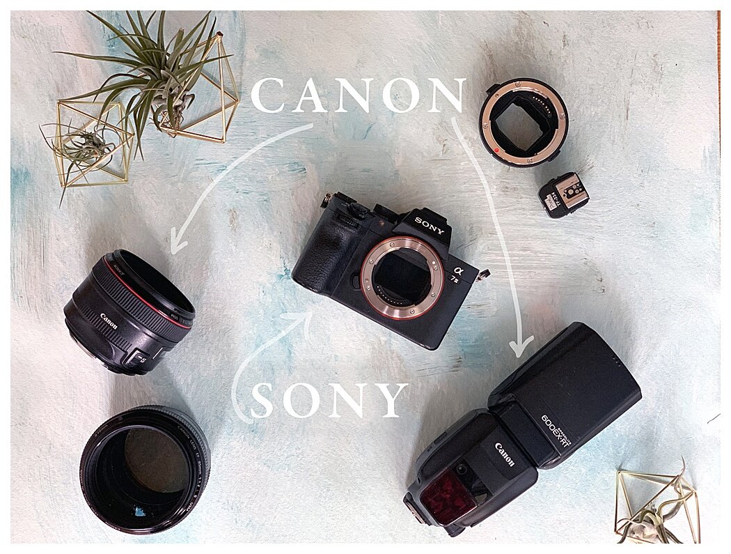 Sony-A7iii-mirrorless-camera-canon-r5-r6-speedlites-lens-adapters-0725.jpg