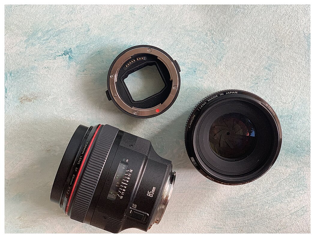 Sony-A7iii-mirrorless-camera-canon-r5-r6-speedlites-lens-adapters-0726.jpg