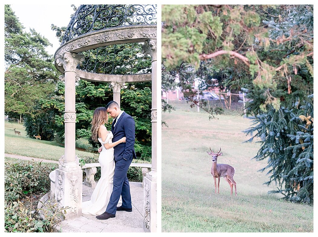 maymont-park-wedding-richmond-wedding-photographers-0835.jpg